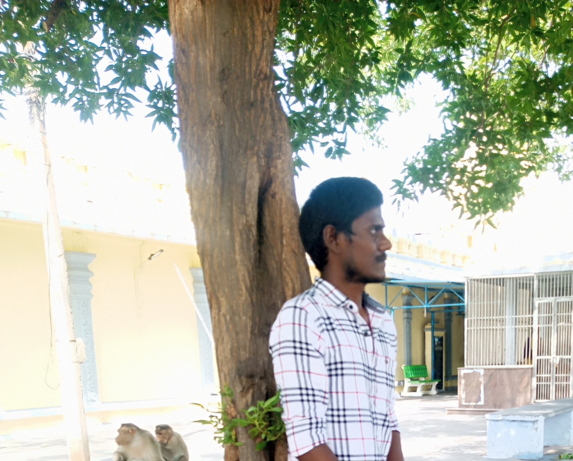 Redd_Telugu