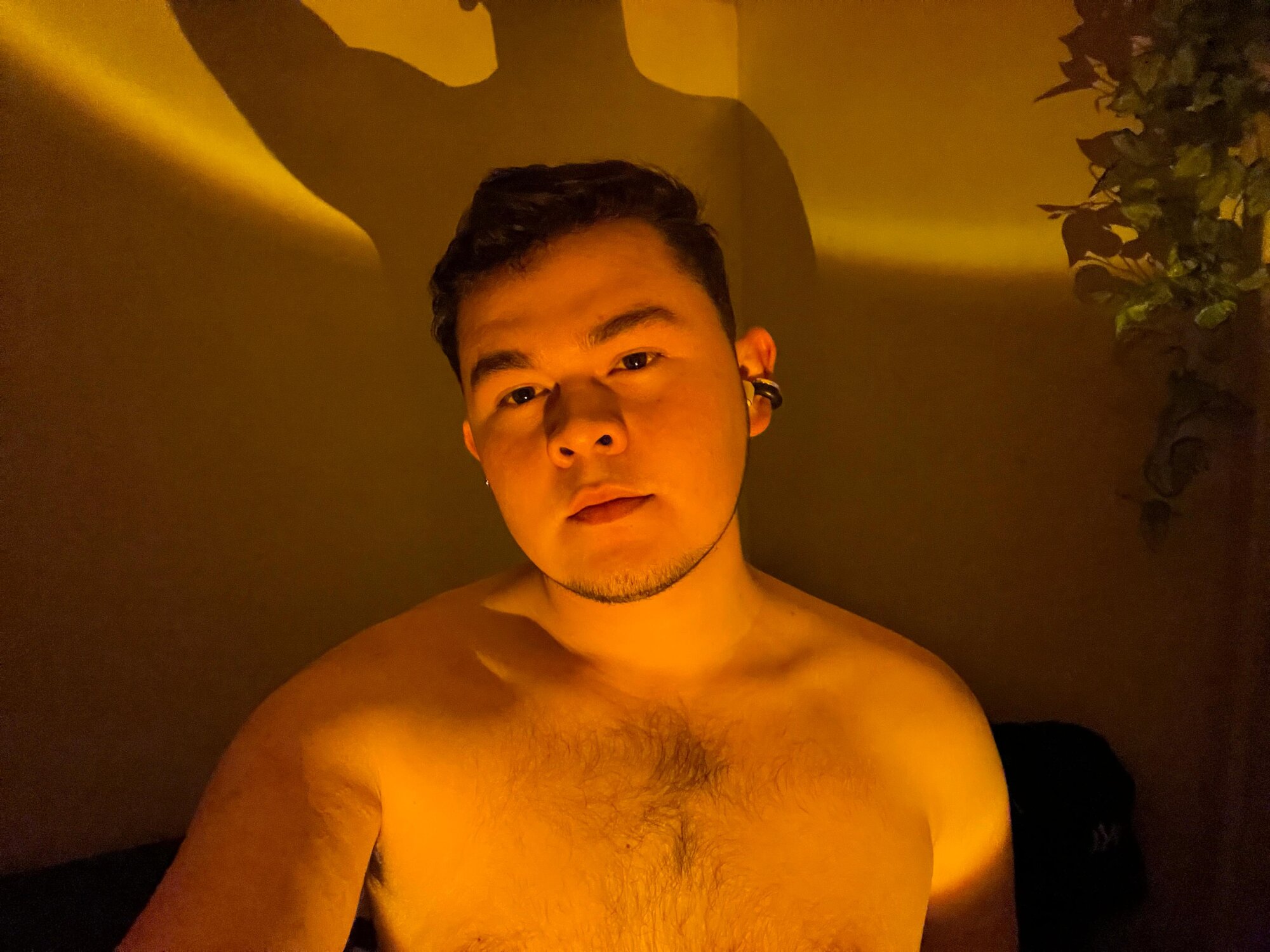 Bear_Naughty