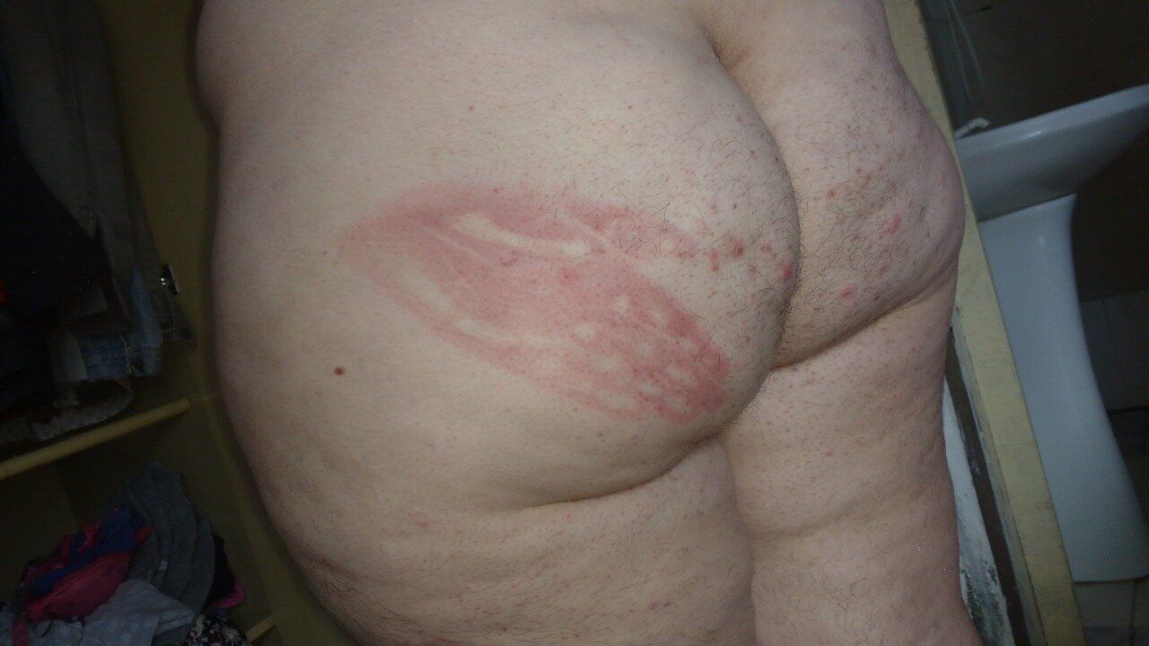 gabertrick