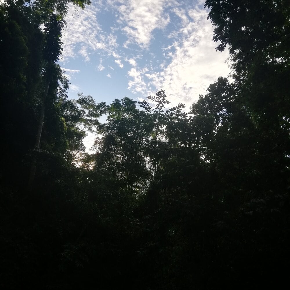 luis_zamora223