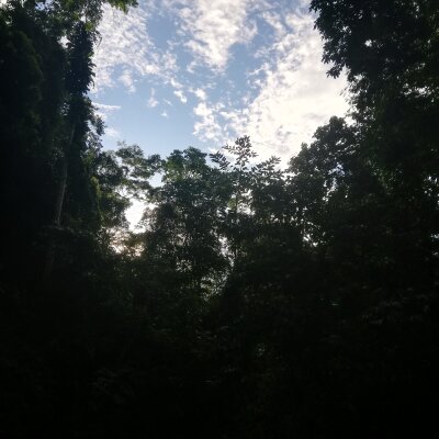 Luis_zamora223