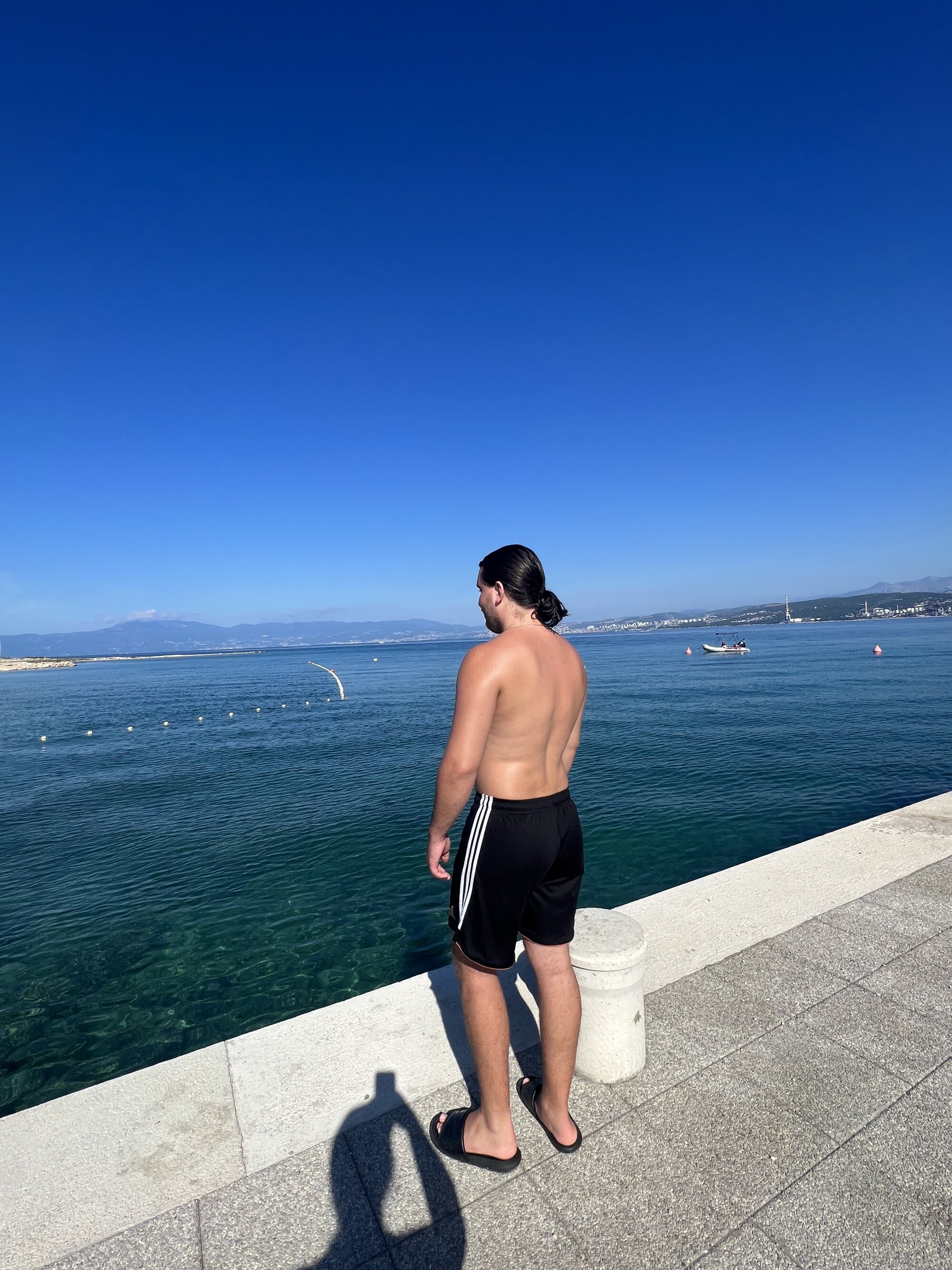 fabiogeil2