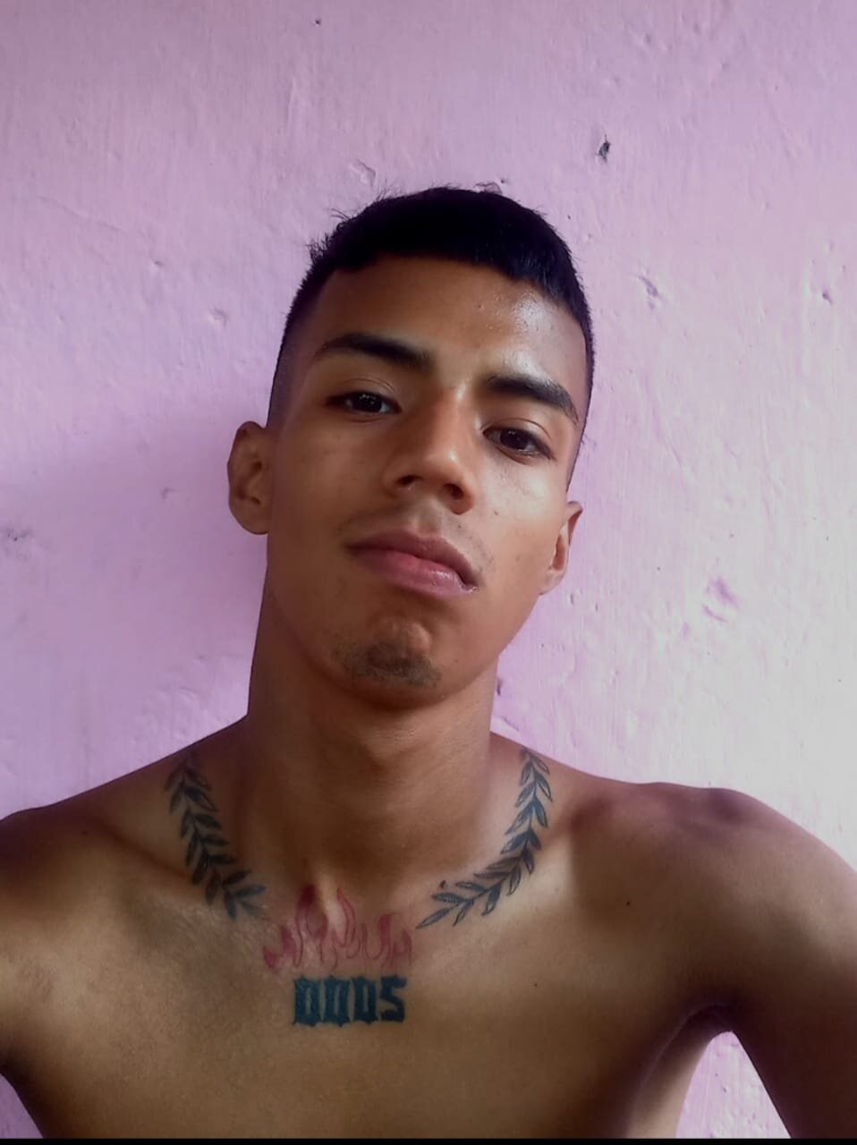 Nando_col
