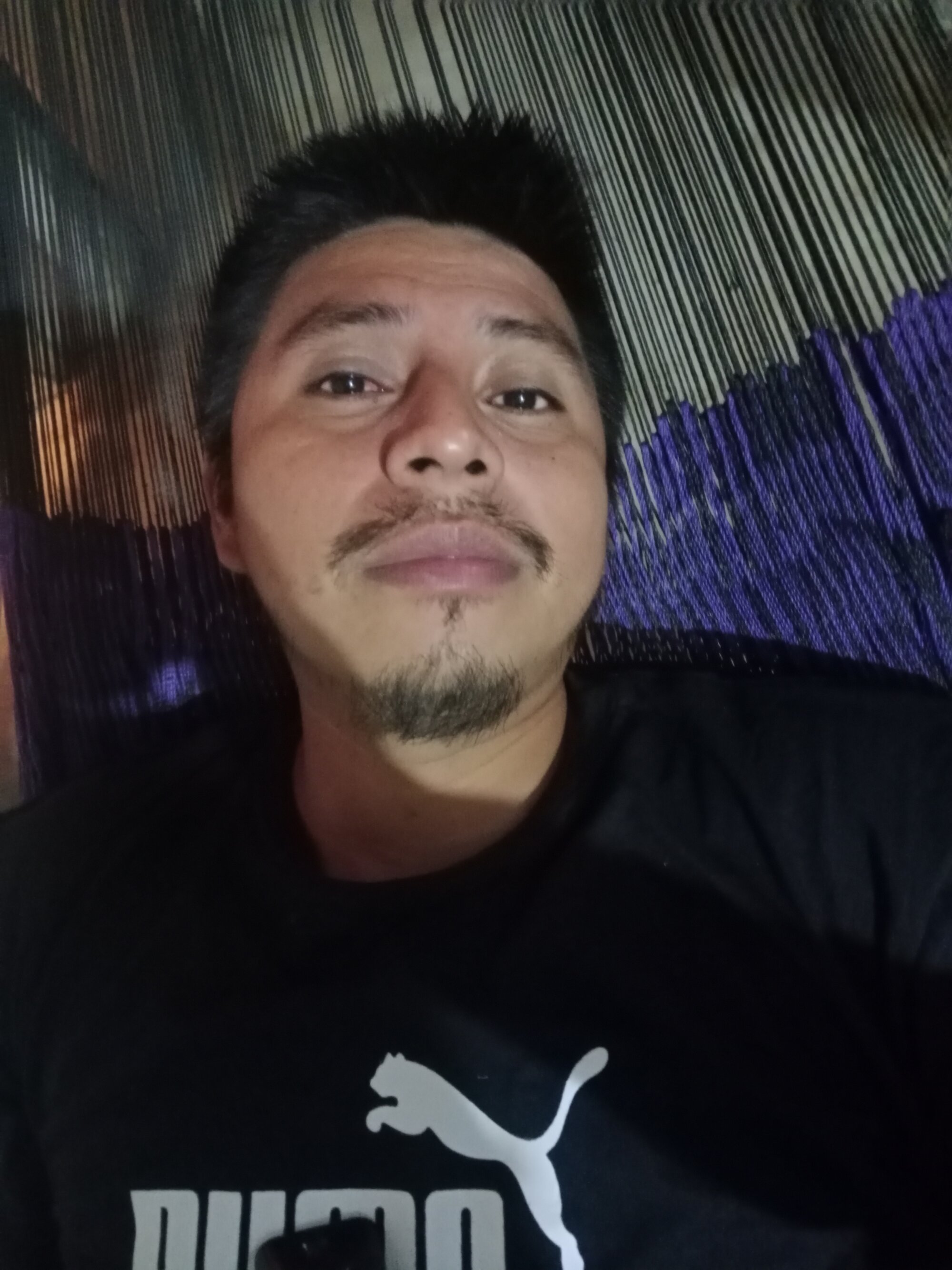 elburrotio live webcam