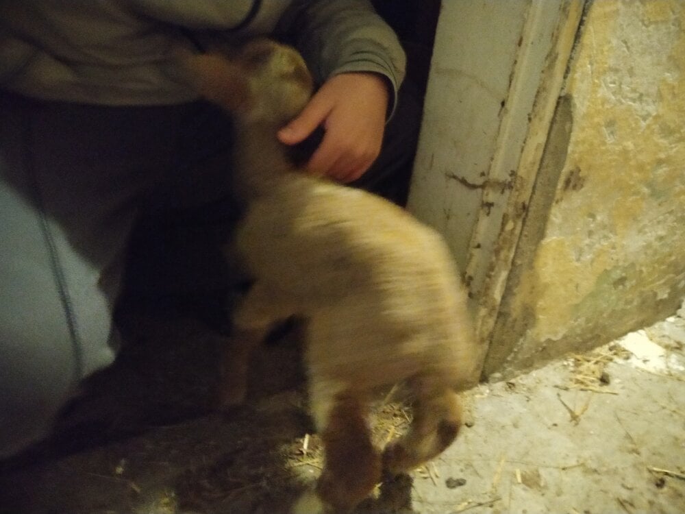 Berkin16's Offline XXX Chat