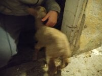 Berkin16's webcam live show