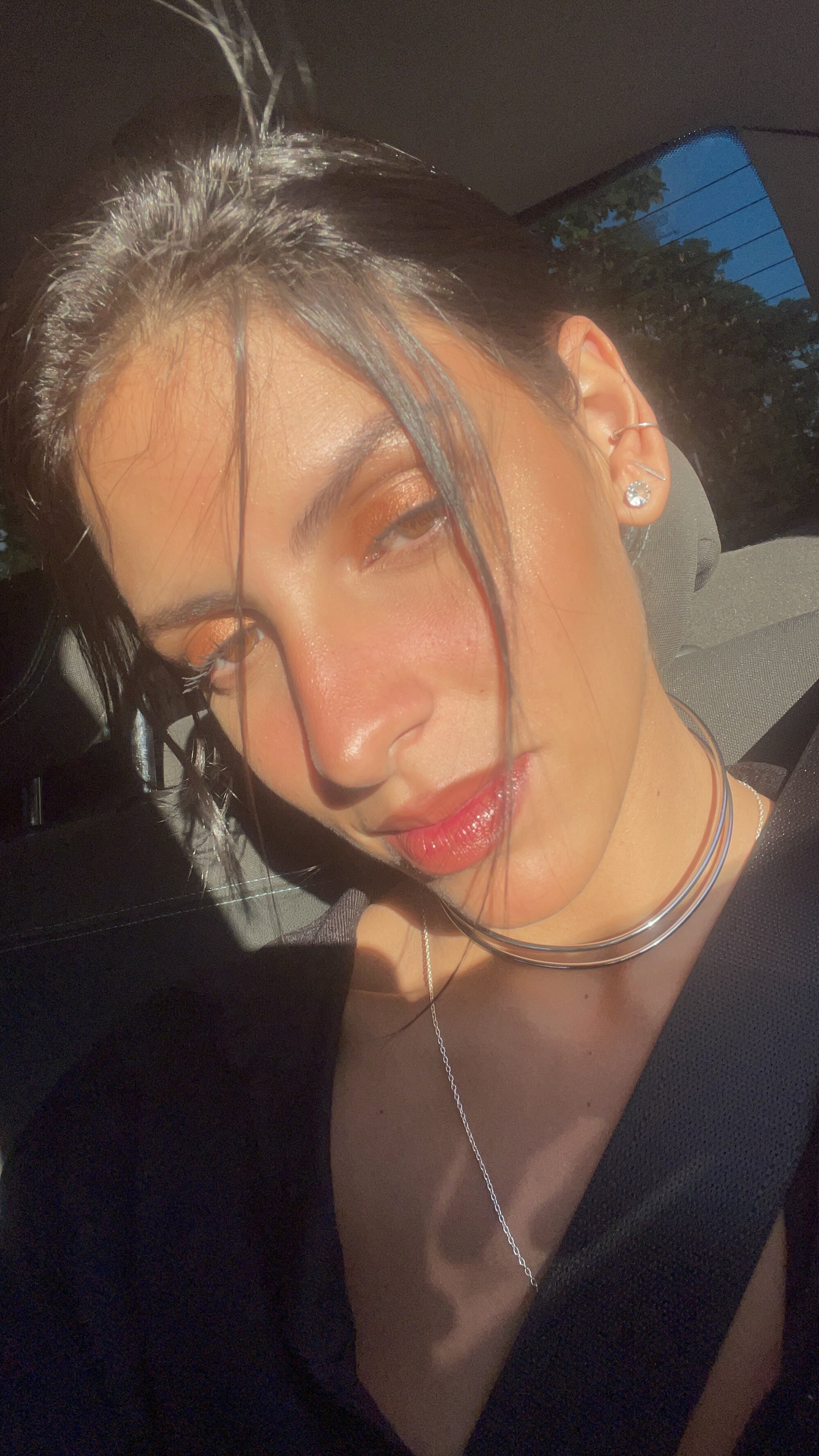 sunlitsurfer
