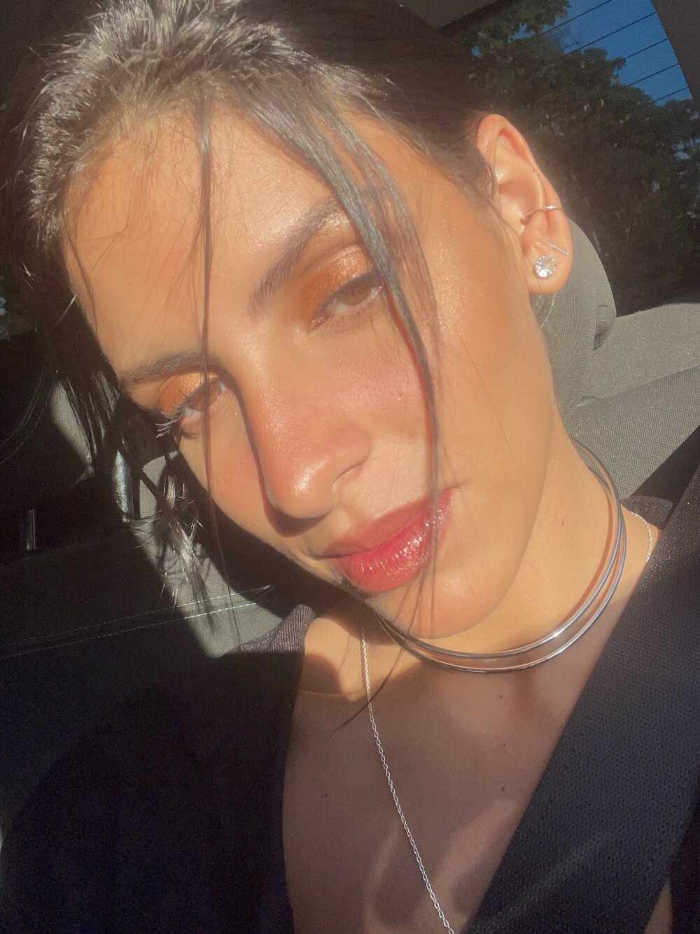 sunlitsurfer profile