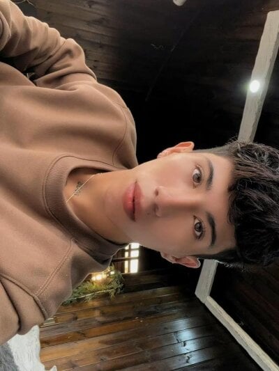 FabianPriince Male Nippletoys Webcam Striptease