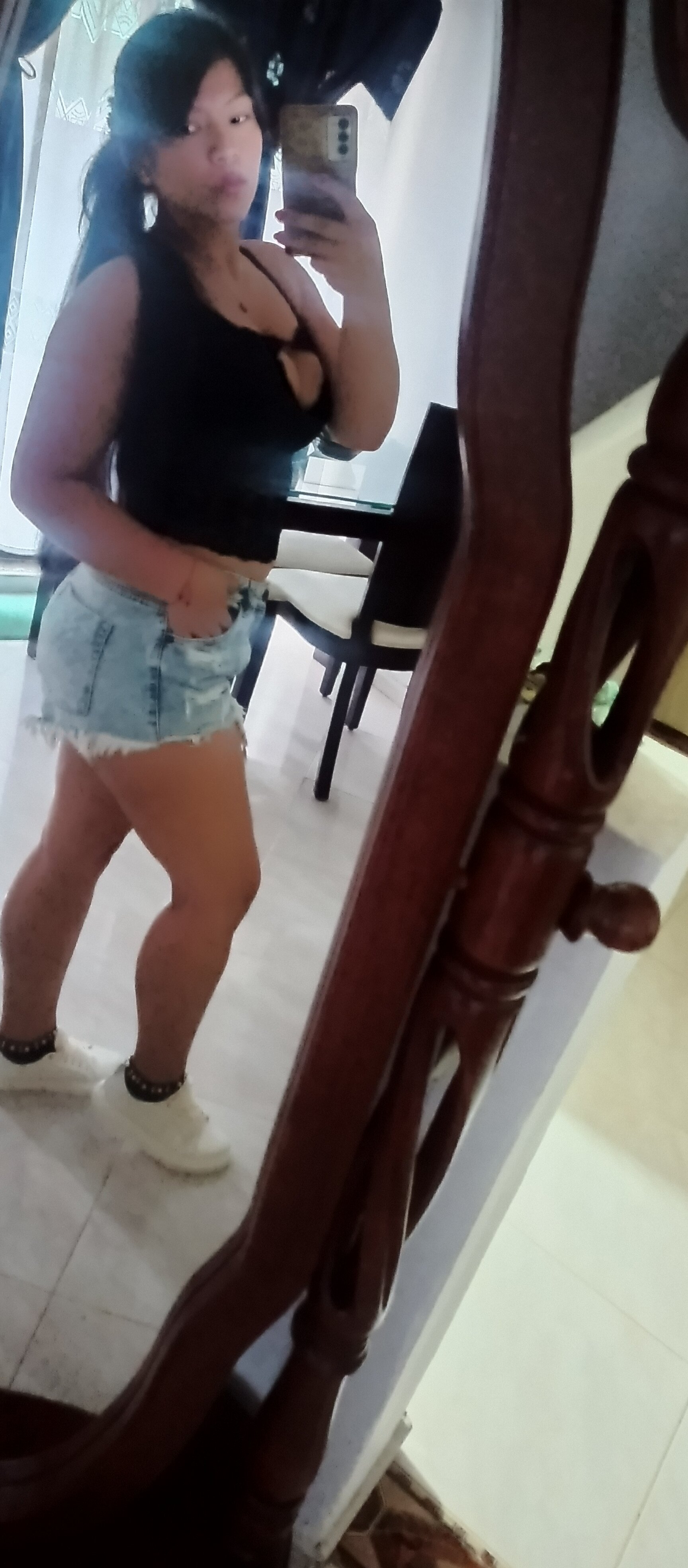 LaFenix