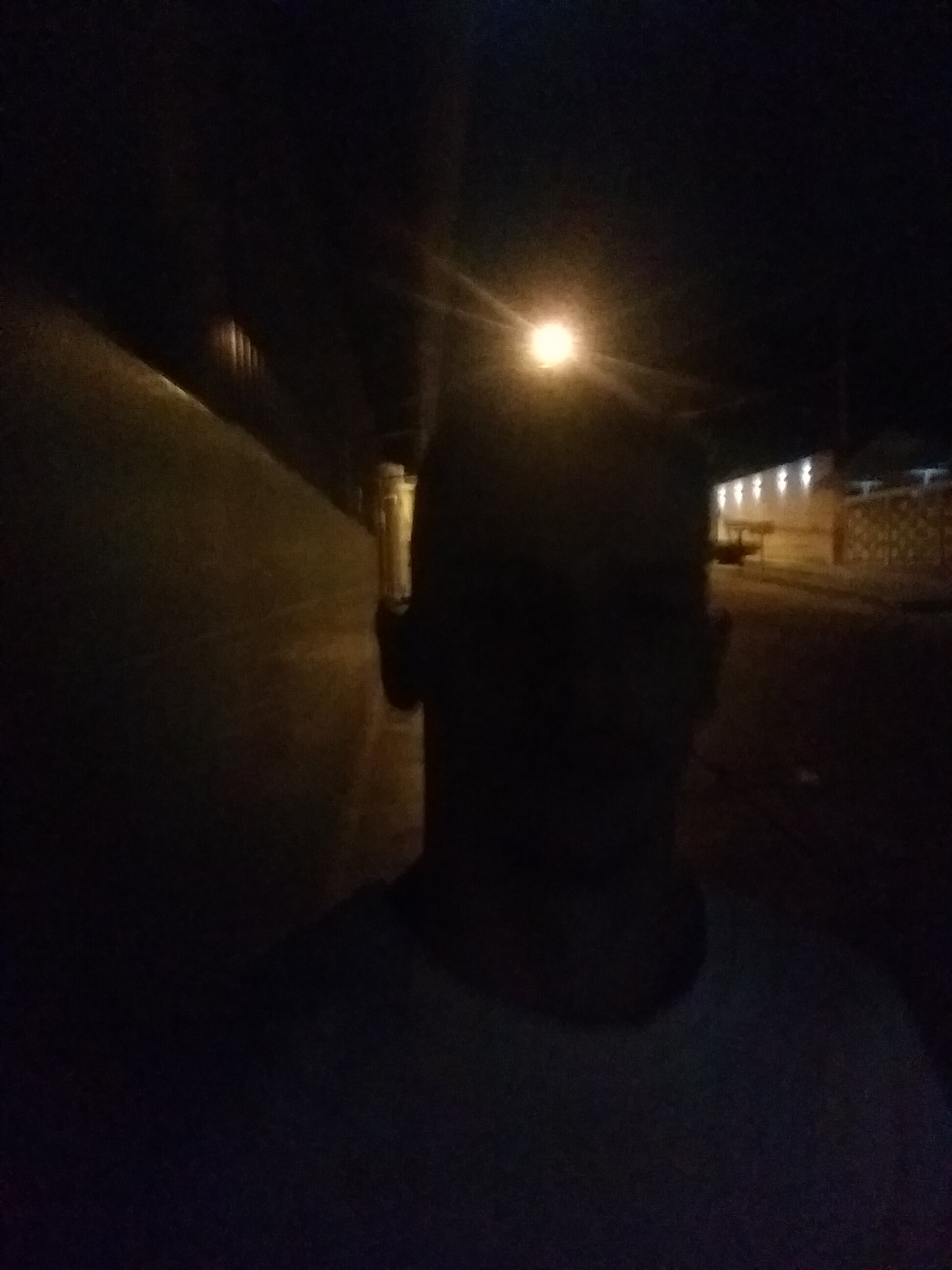 pedroc_015