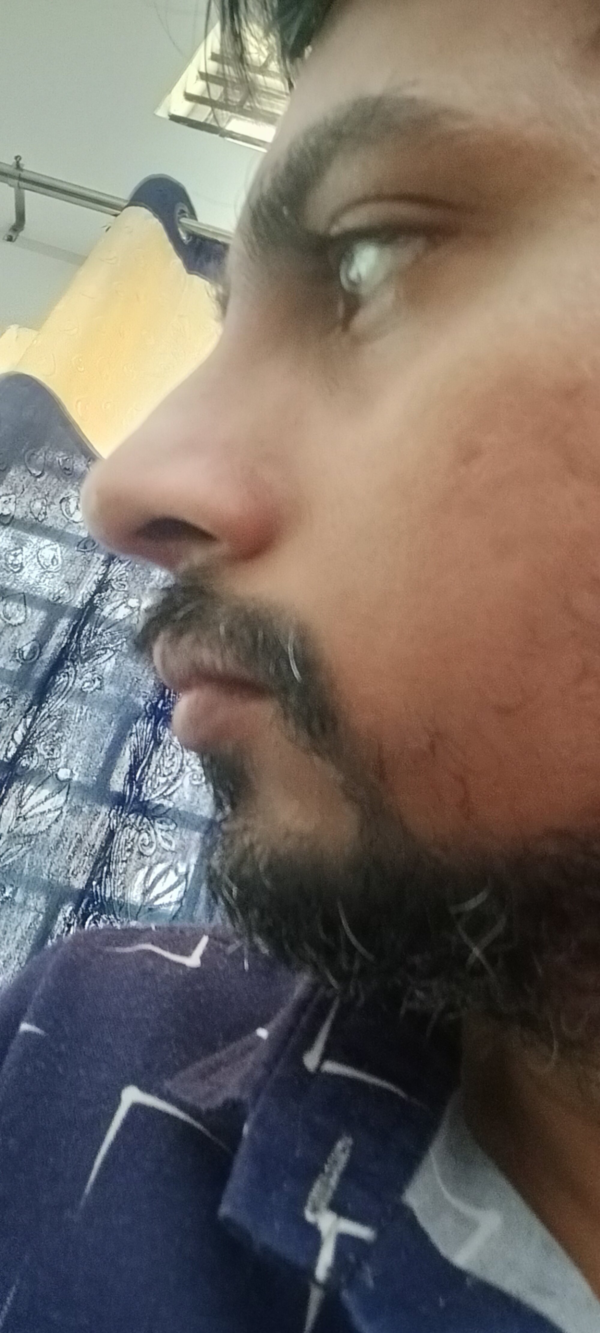 rajforeal