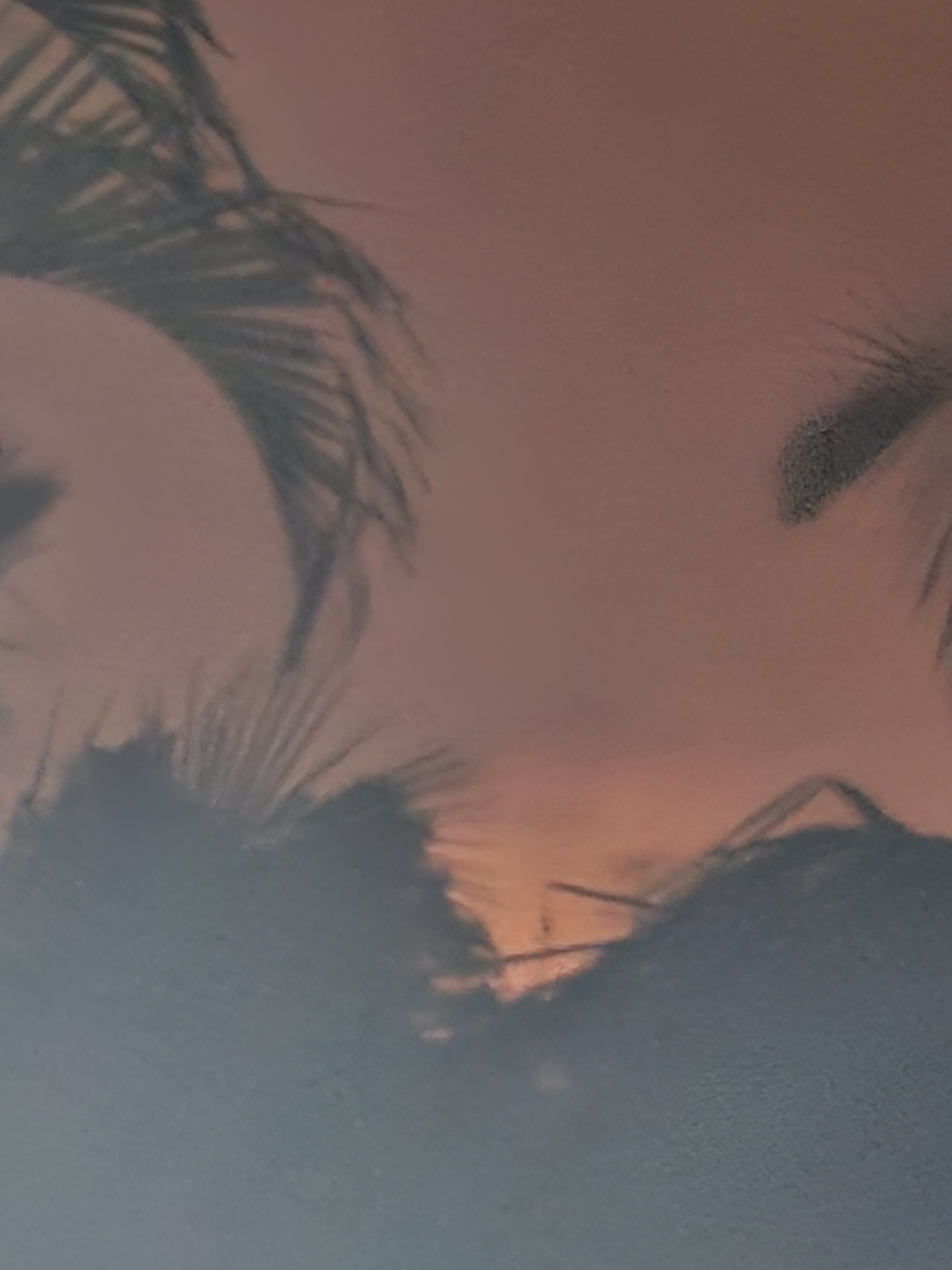 Skyvibes28