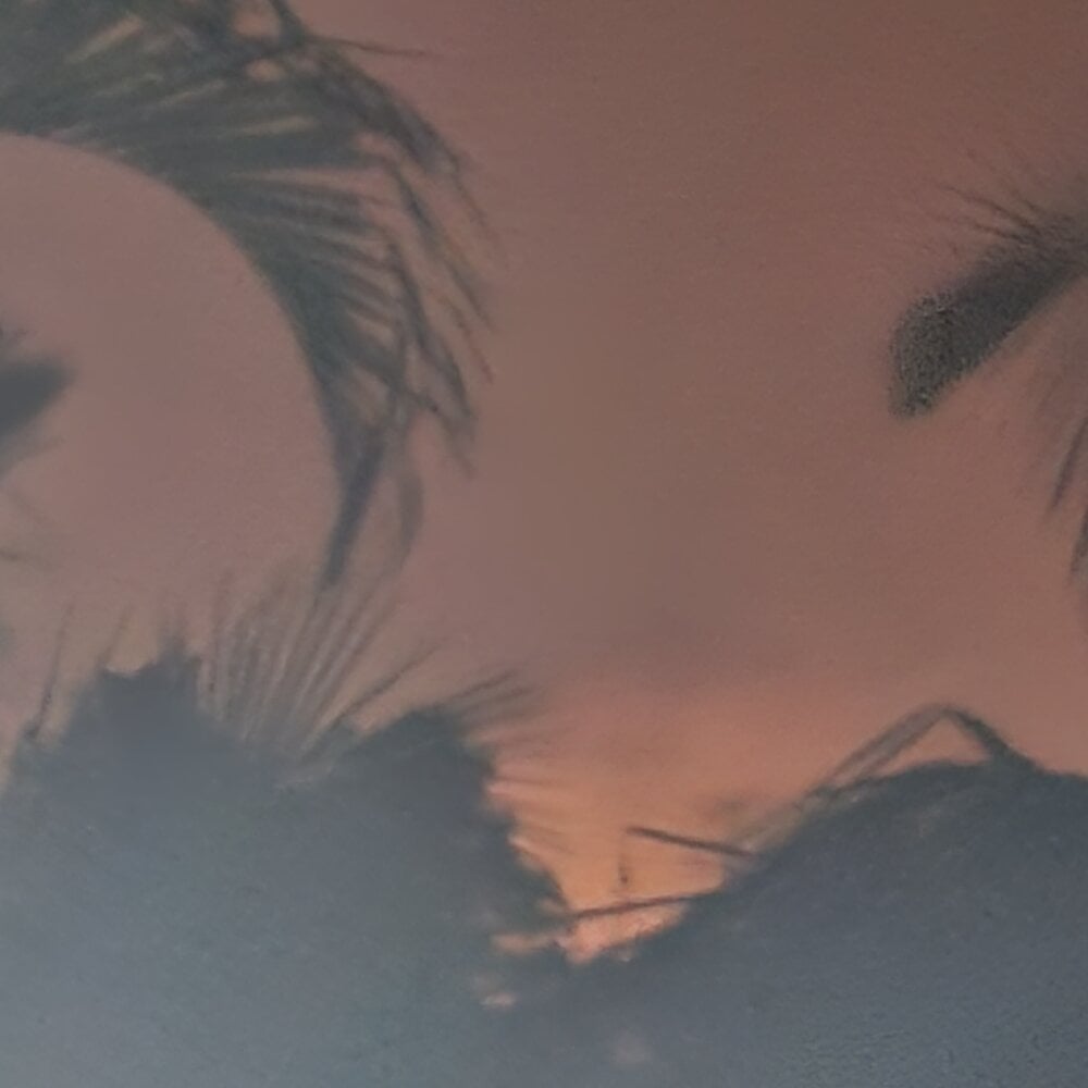 Skyvibes28 profile