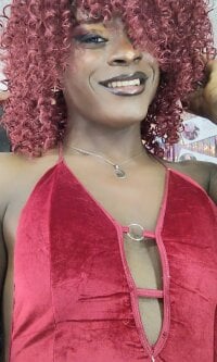 Модель puca_ebony