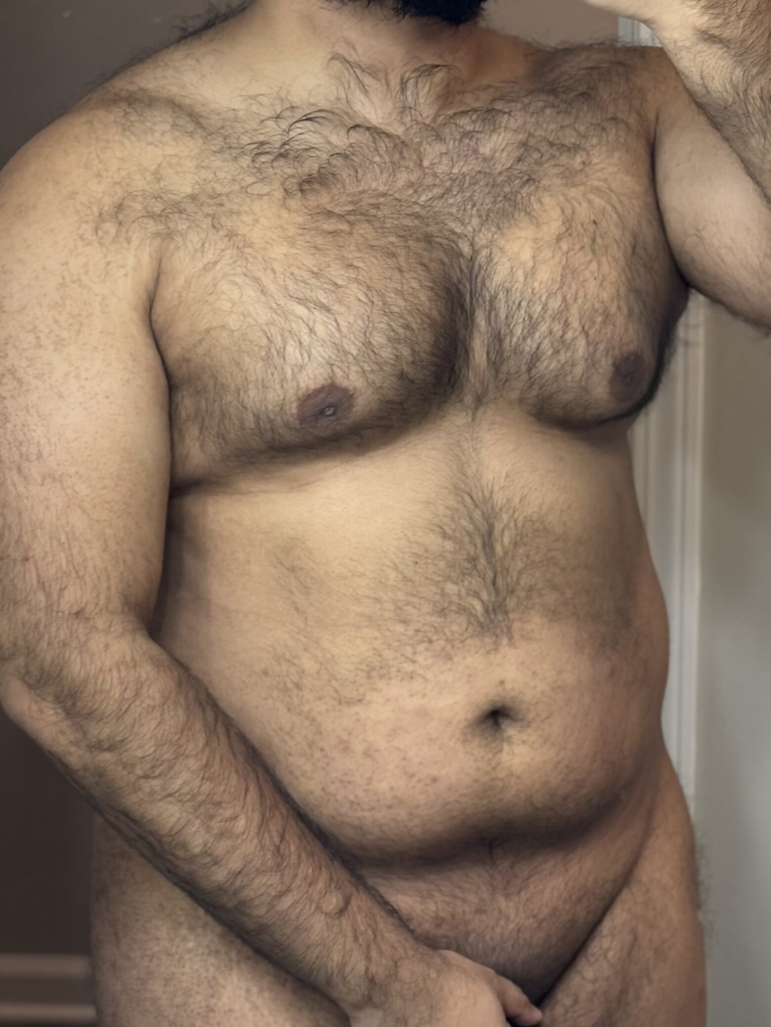 ibear0