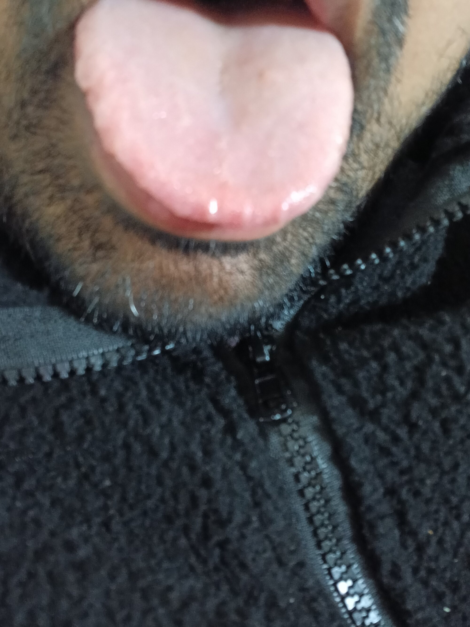big_dick_fuker123
