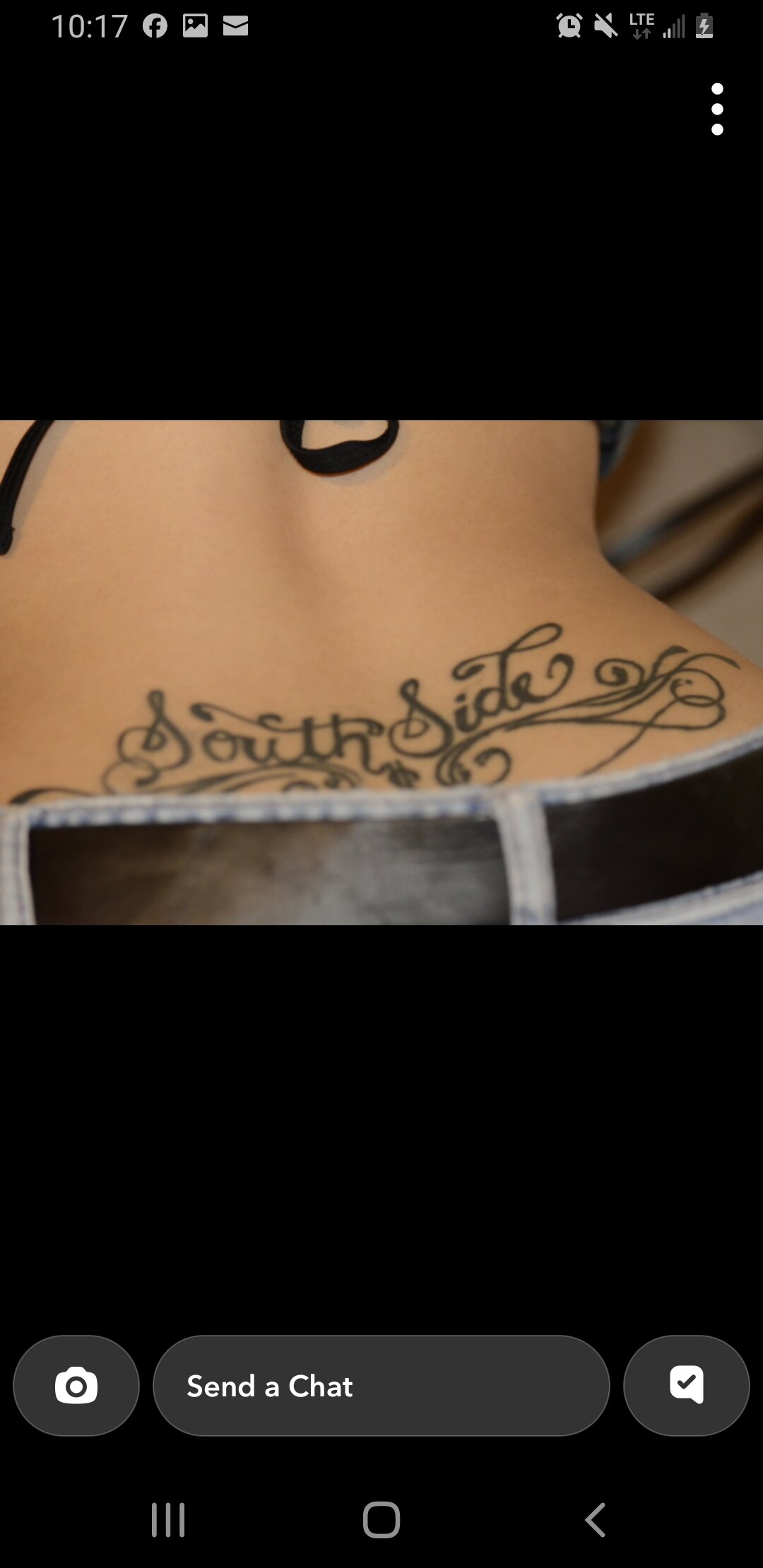 Southsidebutterfly
