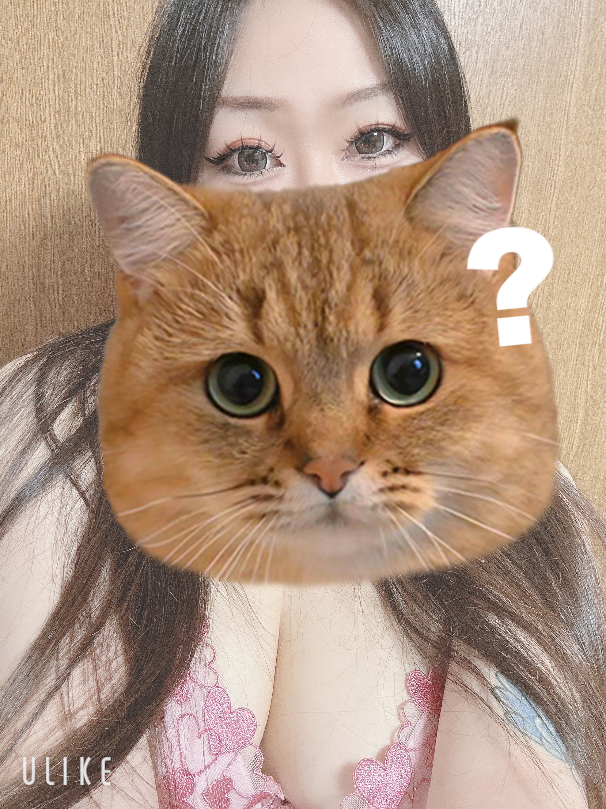 kitty_cham