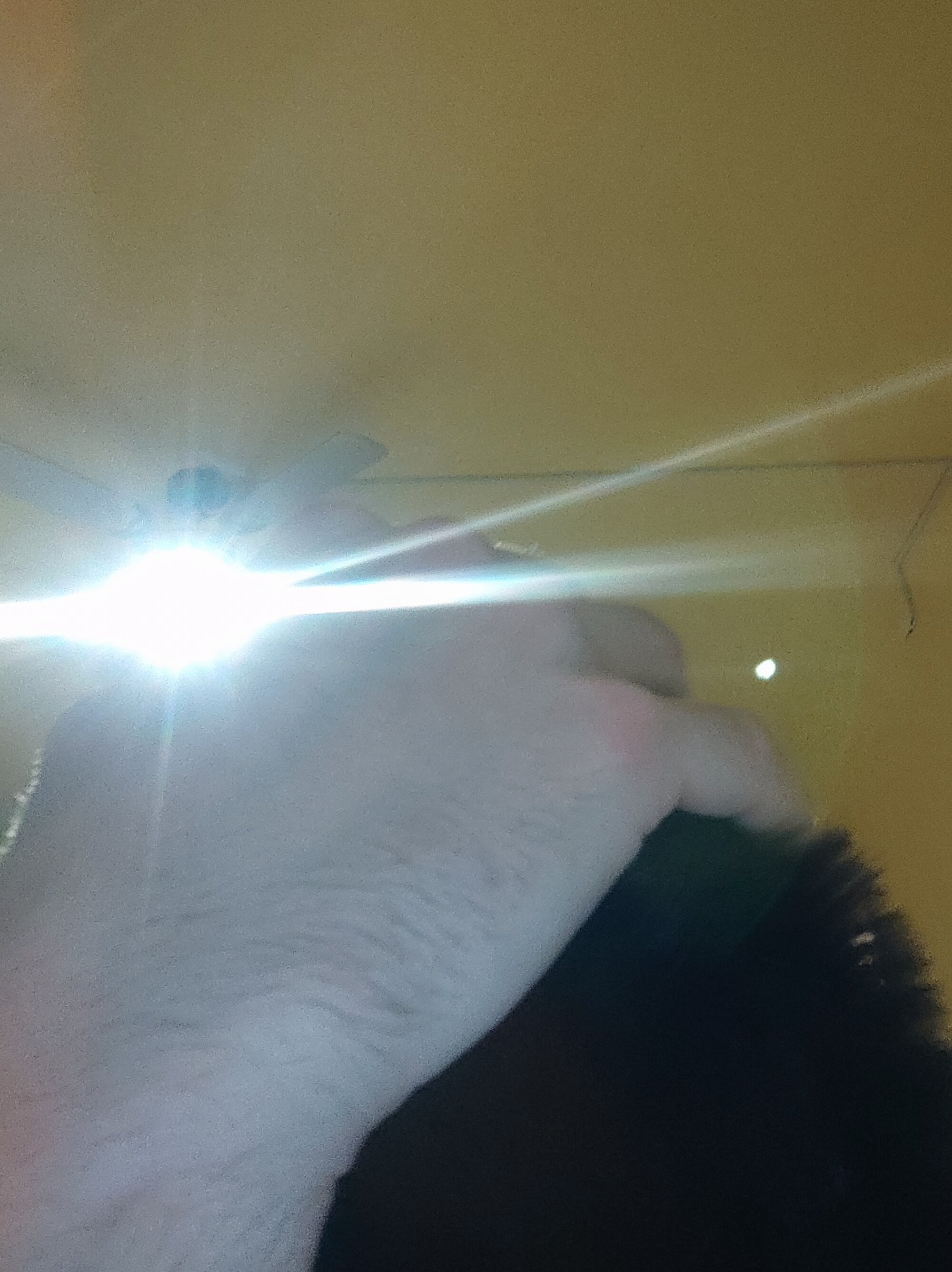 Luismiguel55 live webcam