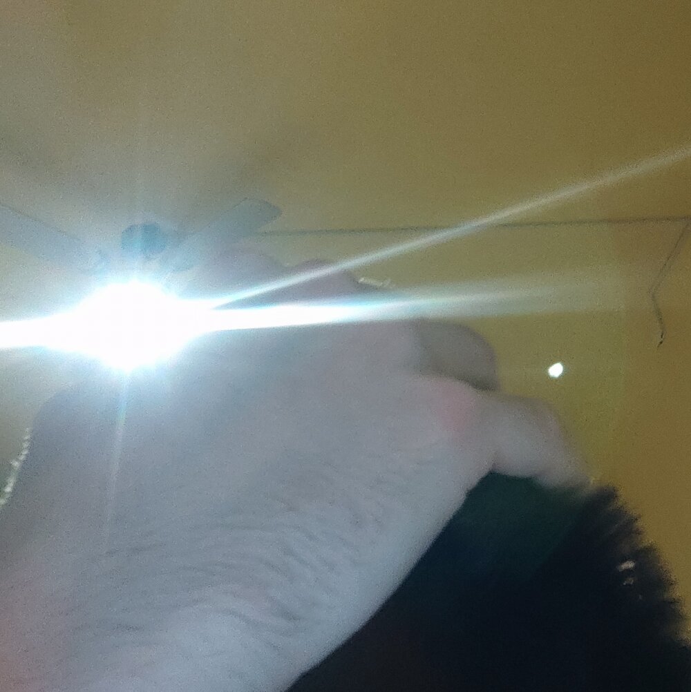 luismiguel55 from stripchat