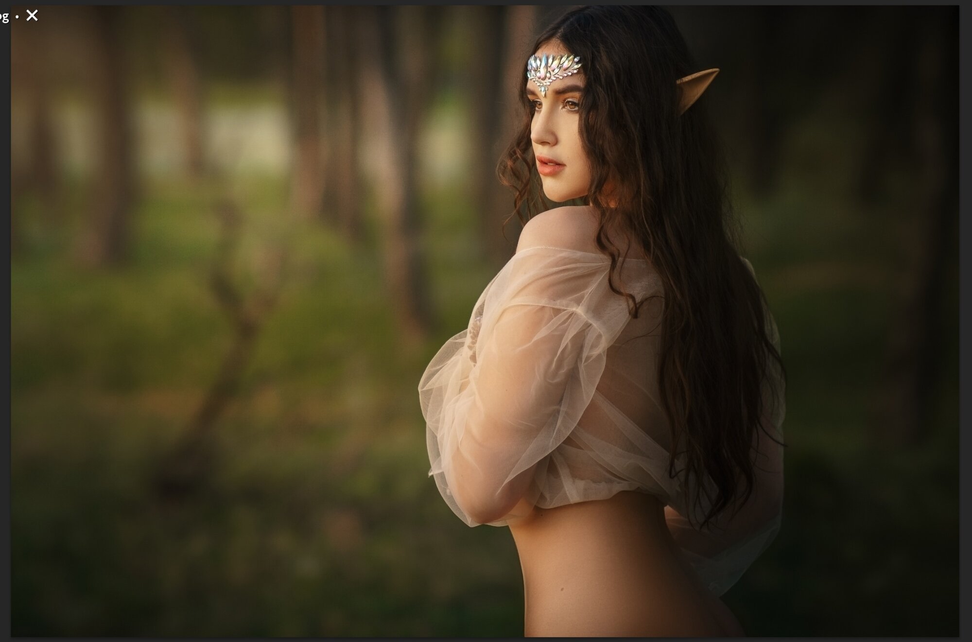 MagicElf4k