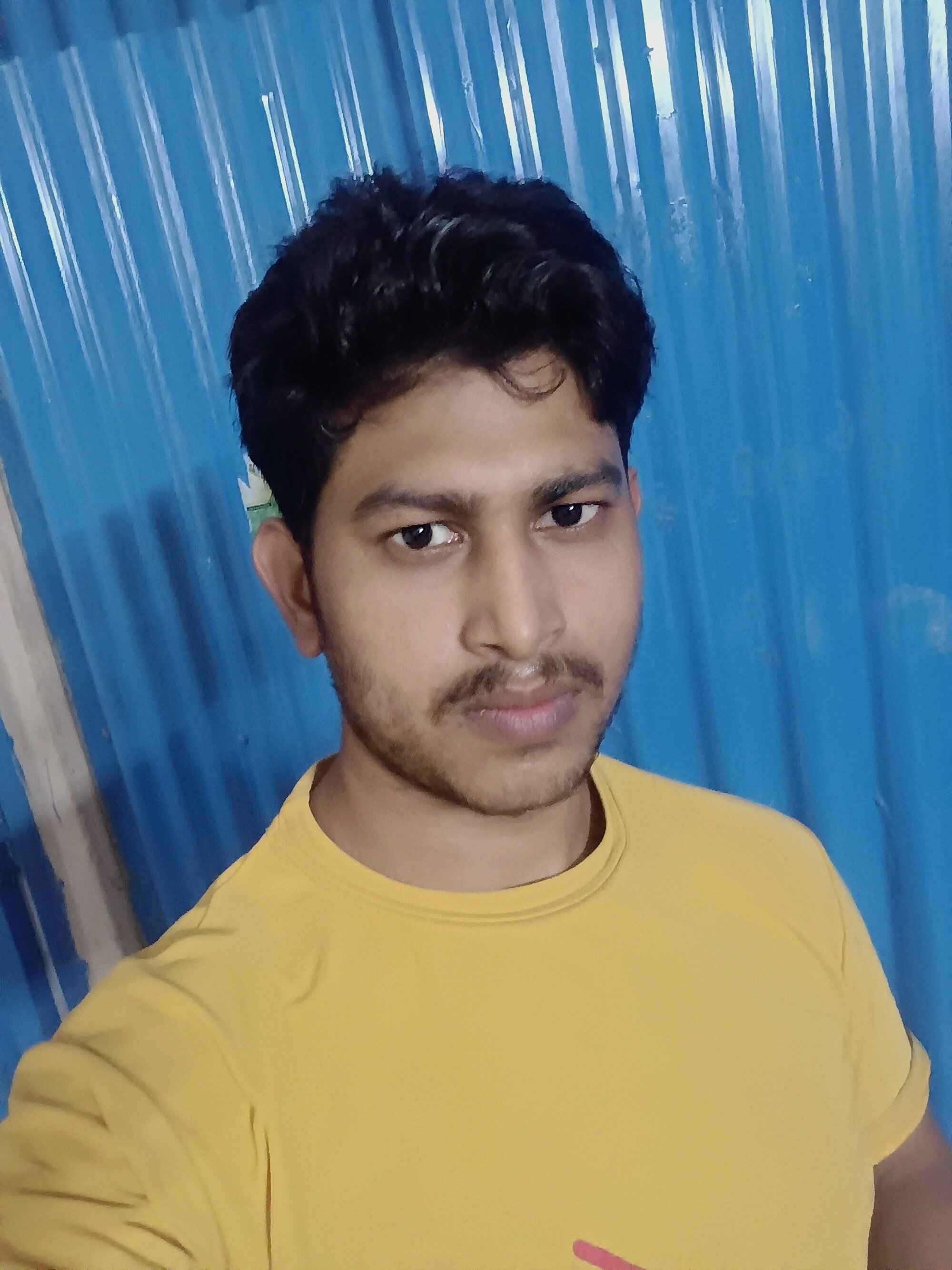 SilverBee4