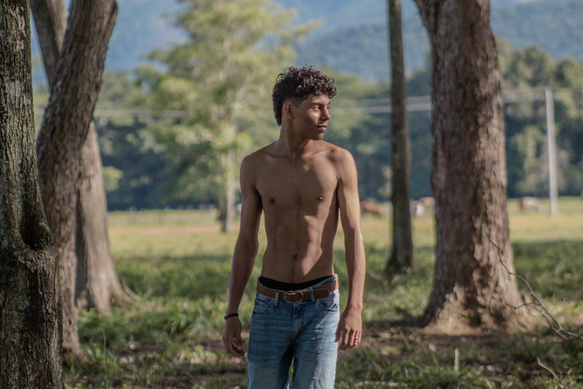 Percival_
