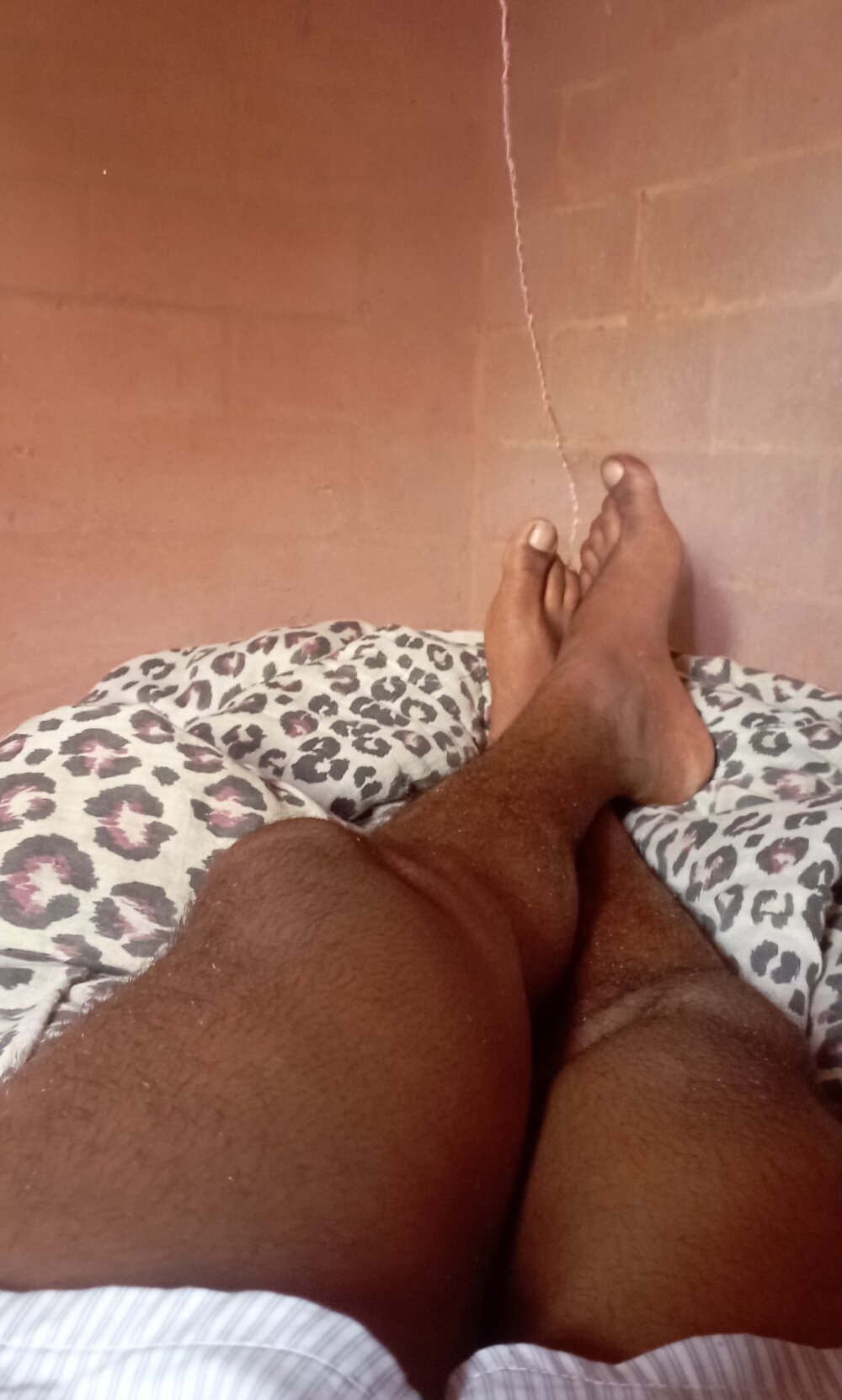 Bullboy99 profile