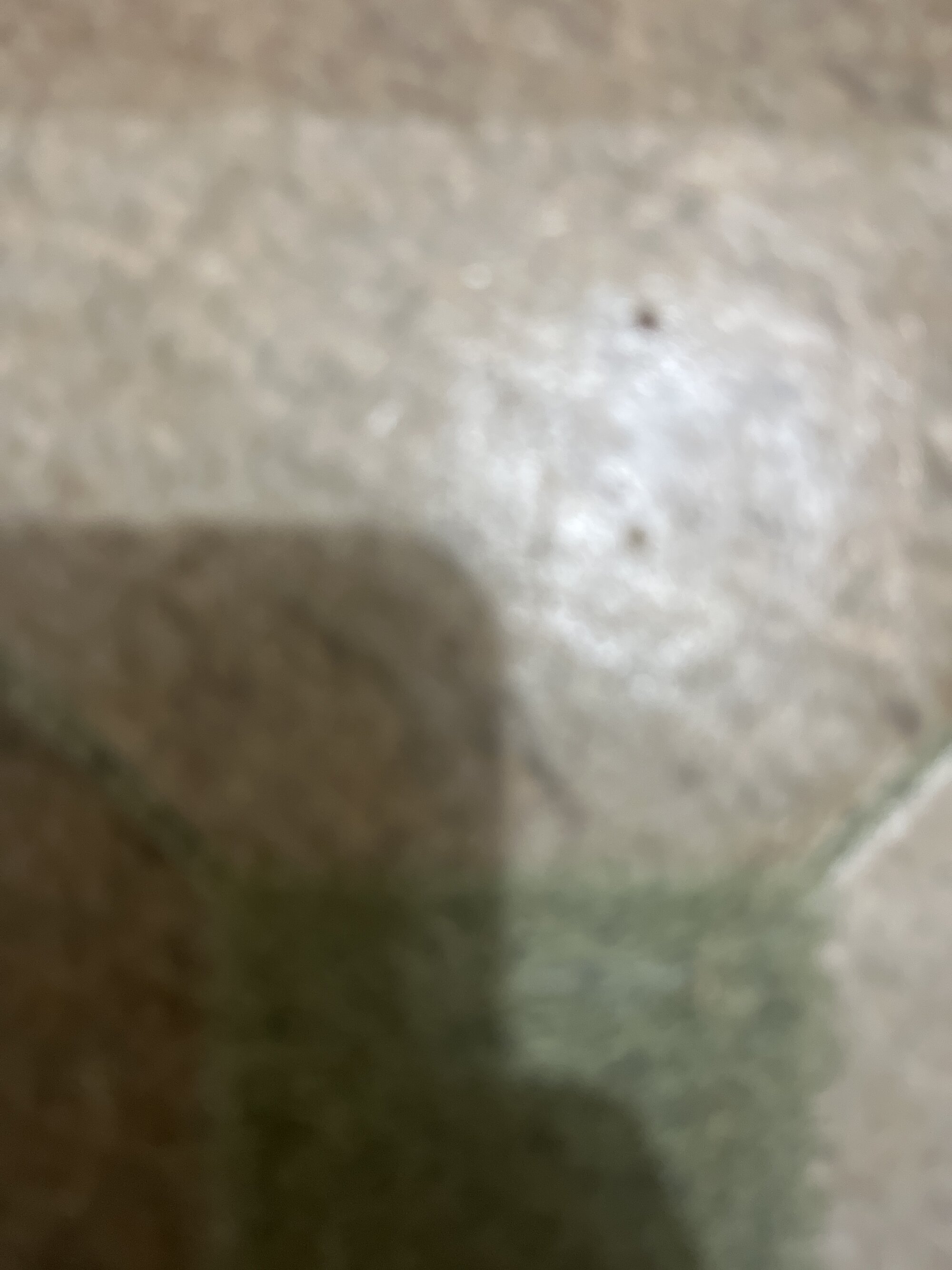 assholeguy_