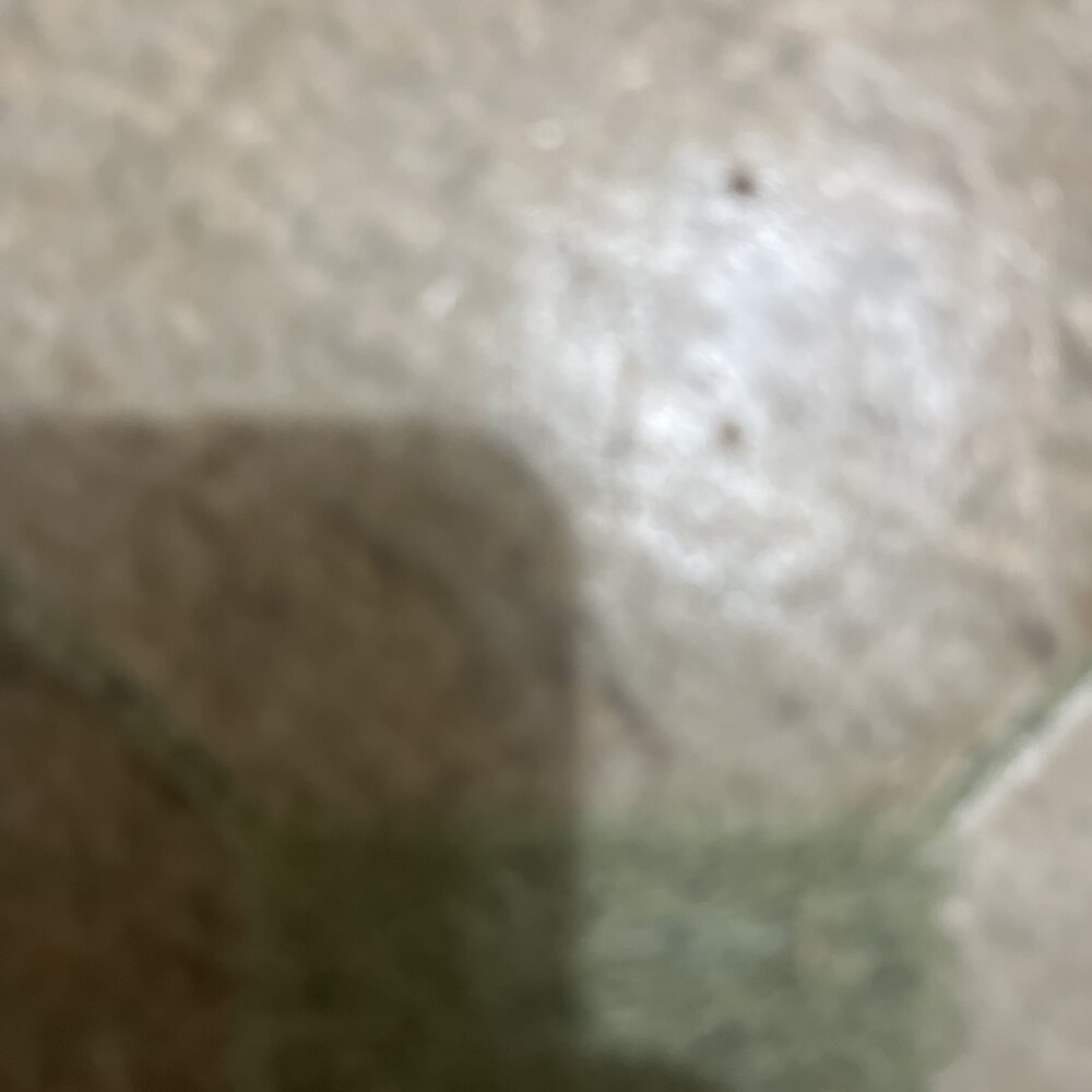 assholeguy_ profile