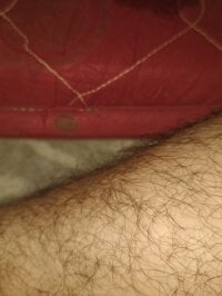 Model Hairyboysexy