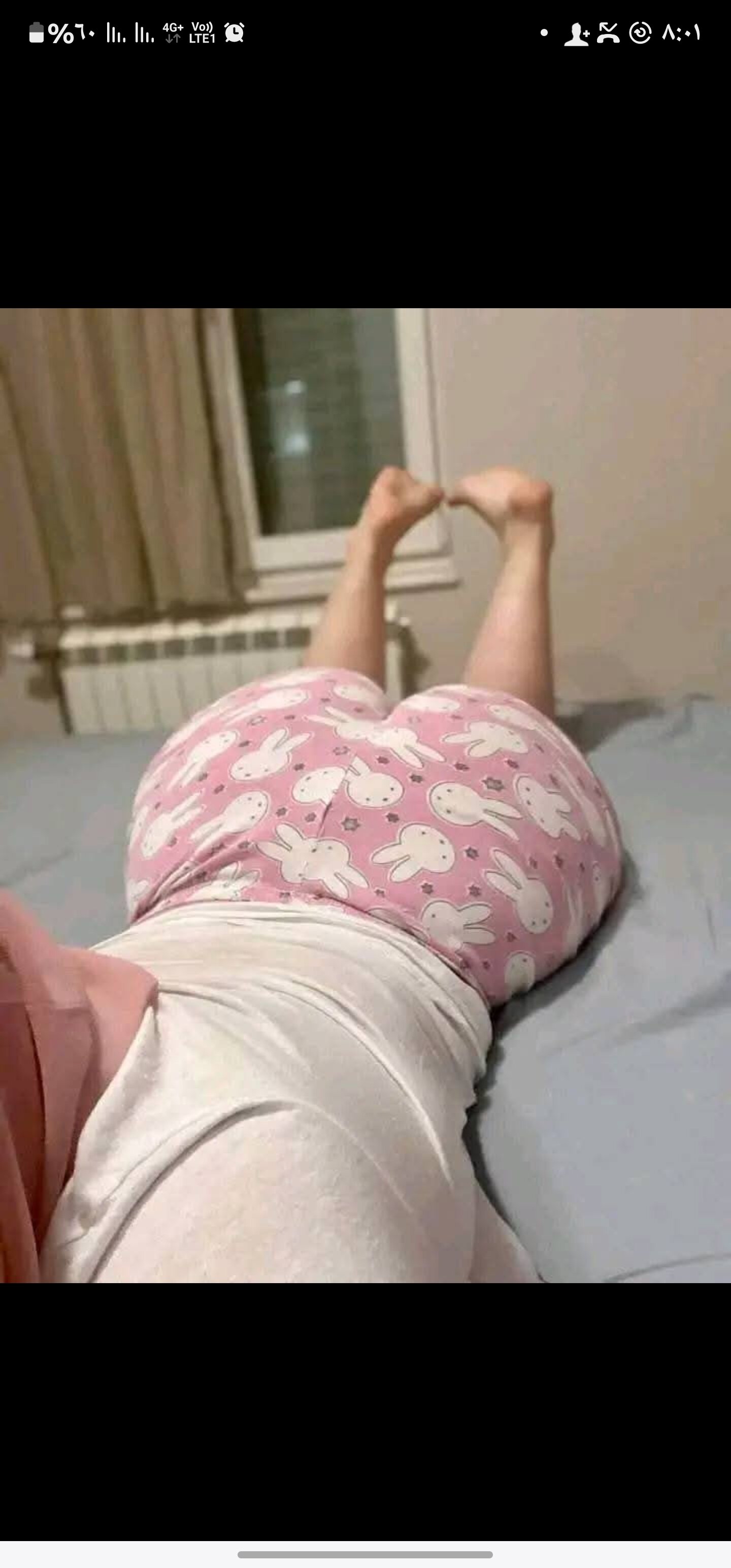 gayboymasry