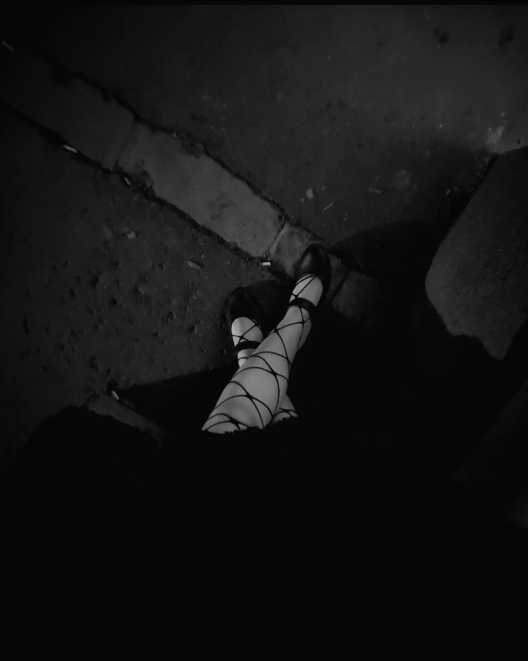 carmine_cate
