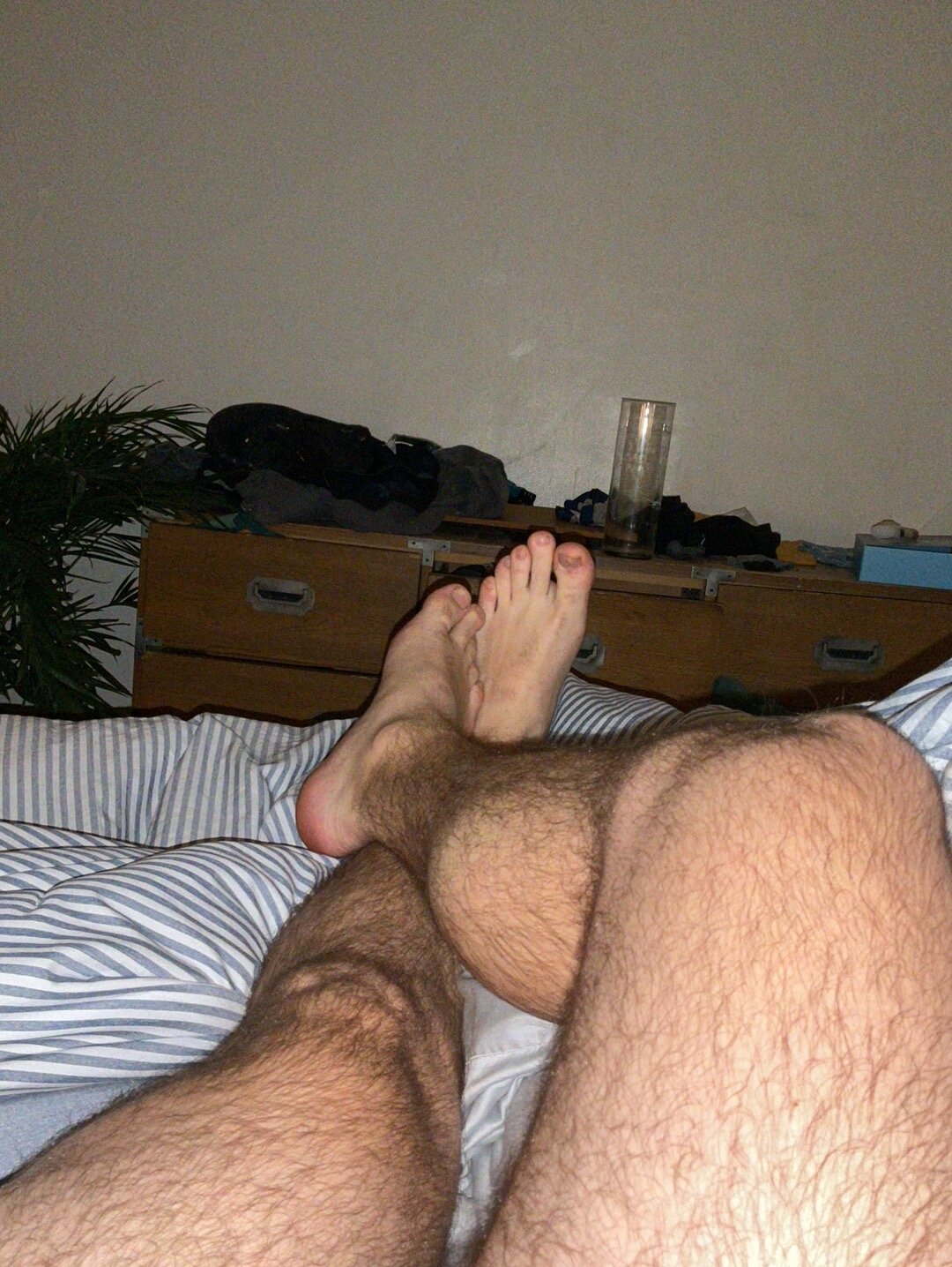 surfur454669