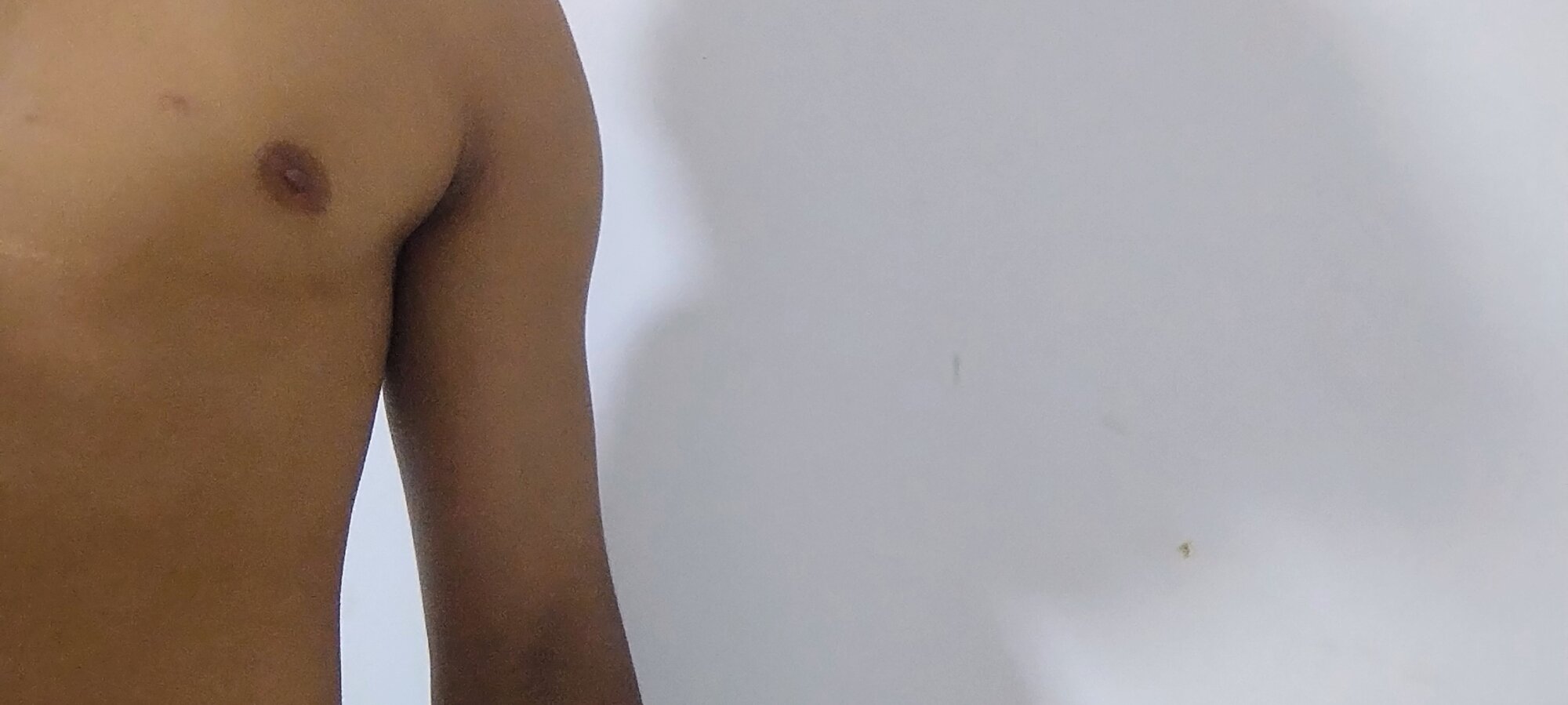 Pauzudodapicapreta