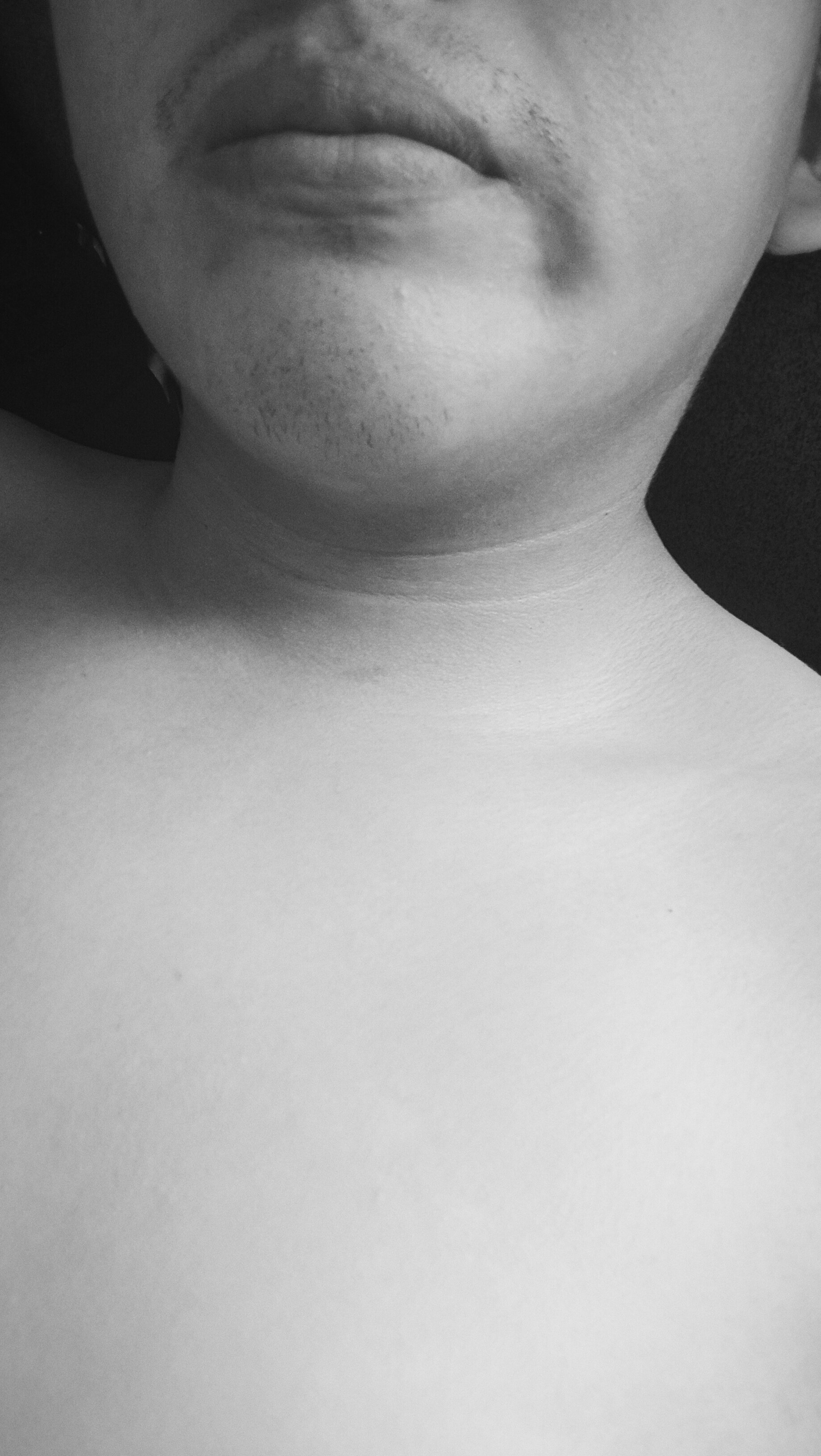 pinguinosex19