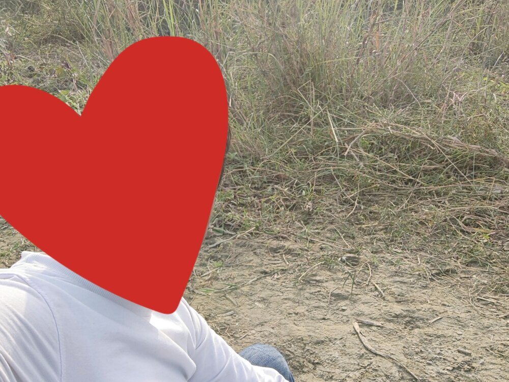 awessomeboyy from stripchat