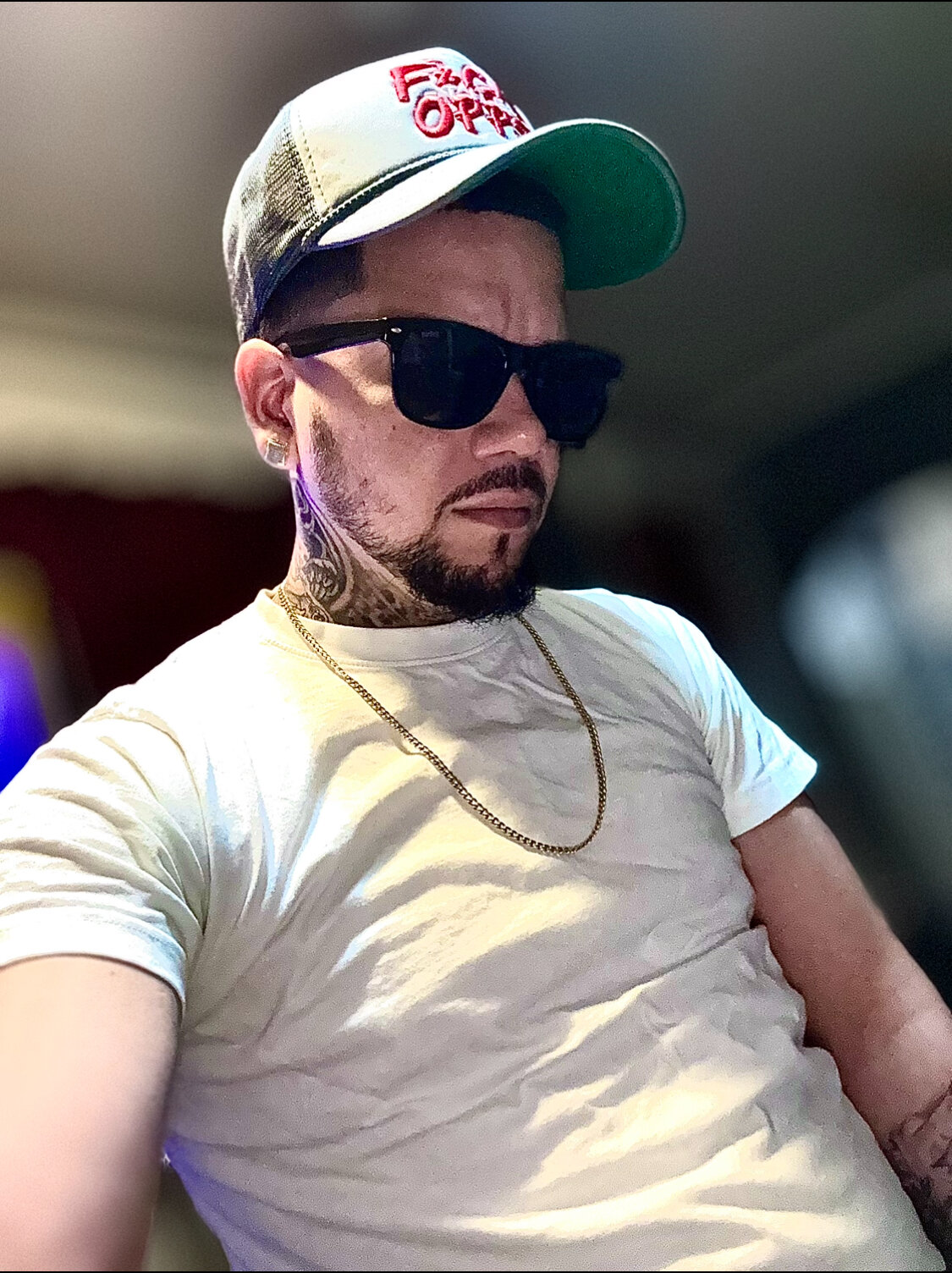 finelibra_215