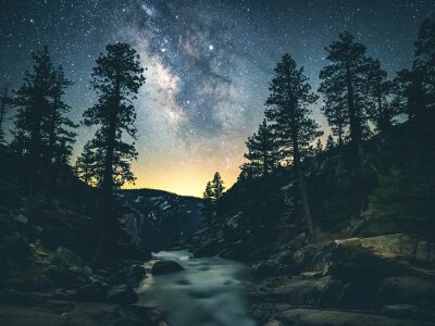 yourguyjack 🛶 free live stream