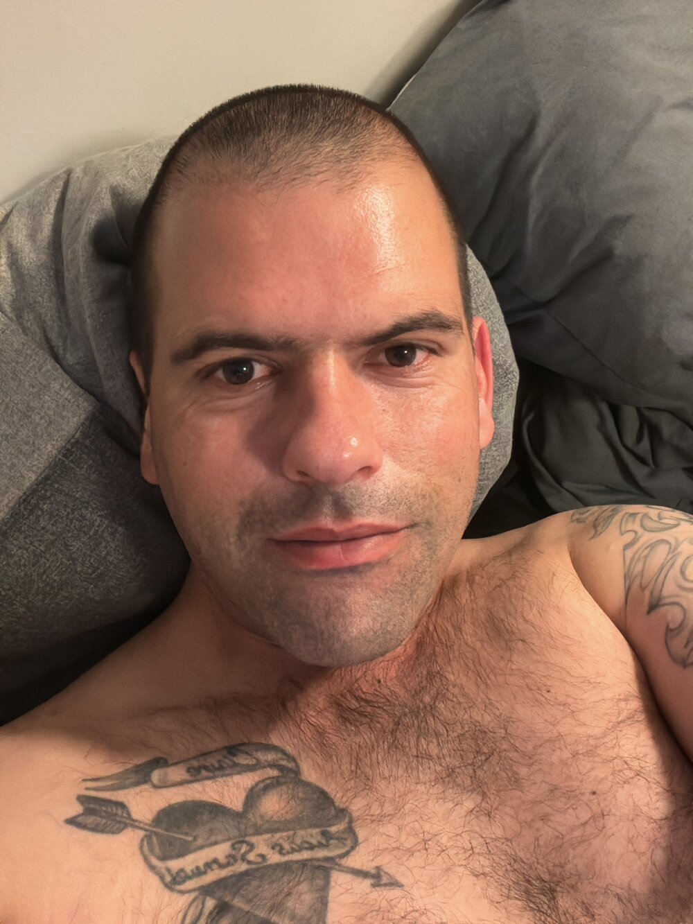 dan8736 from stripchat