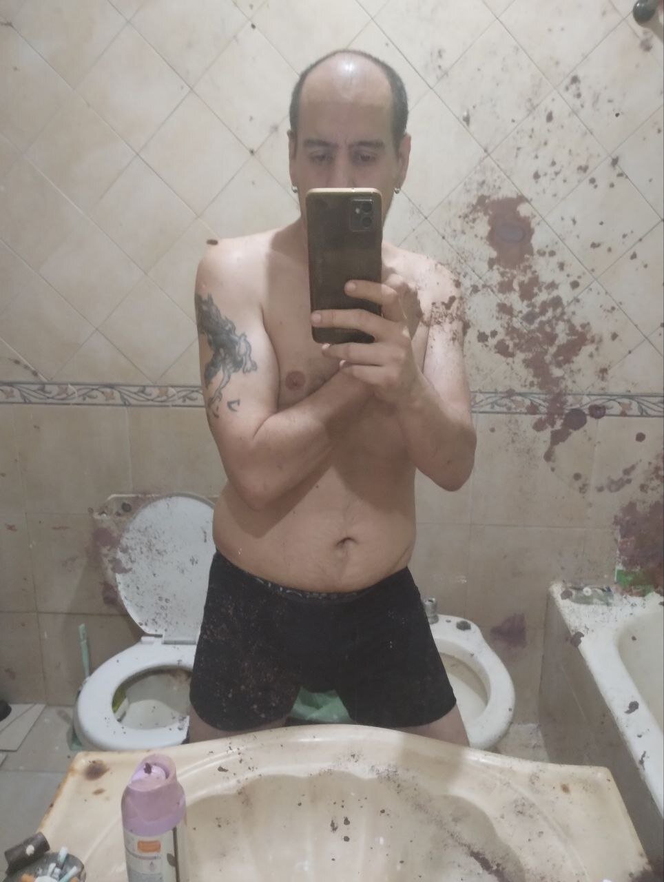 AltaGama_Ok