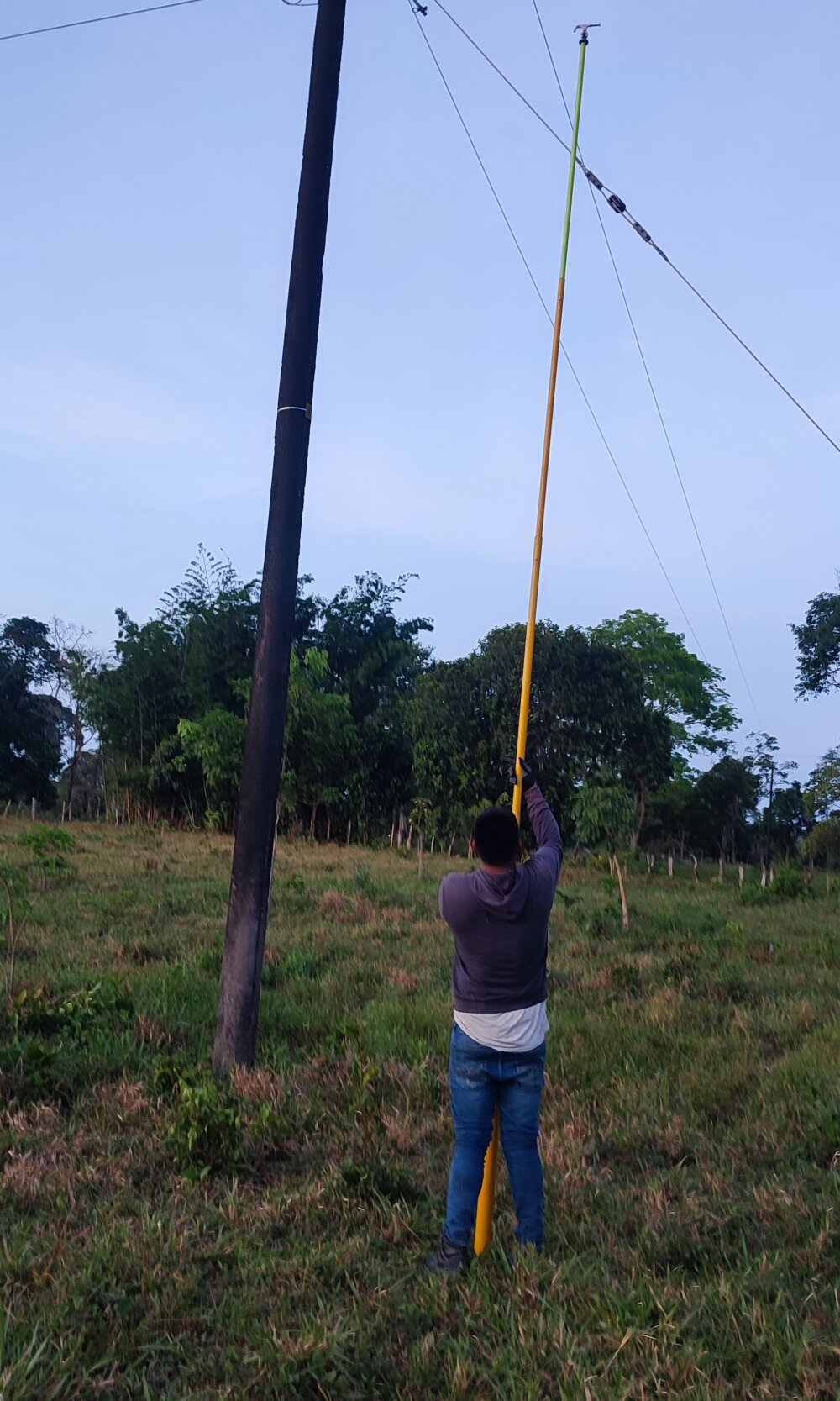 cusicat from stripchat