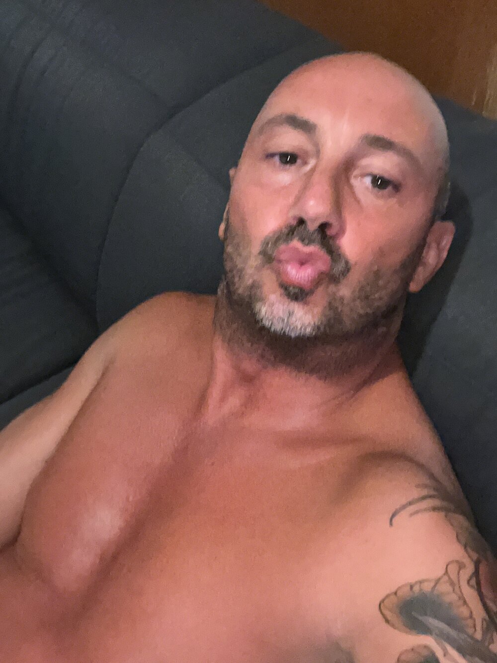 cateodo from stripchat