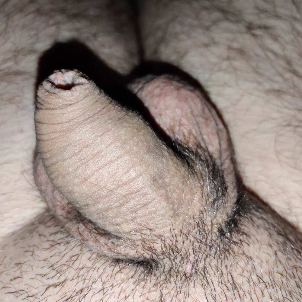 Offline XXX chat Seboses