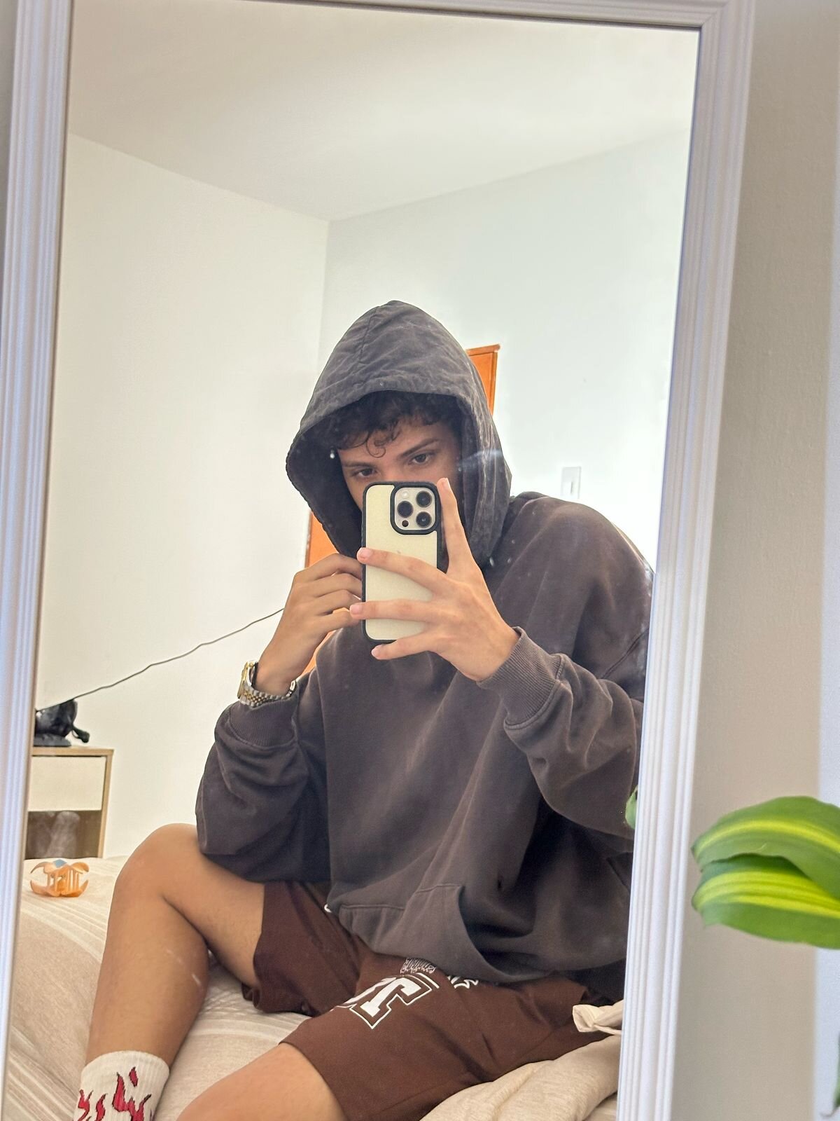 domi_master