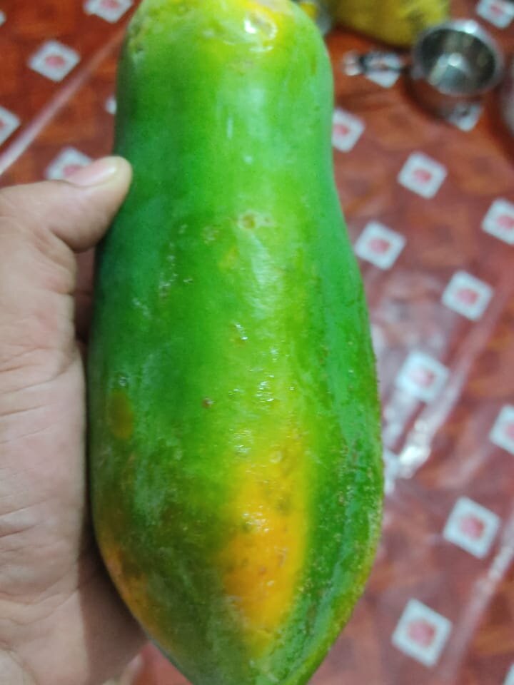 Bijaykch's Offline XXX Chat