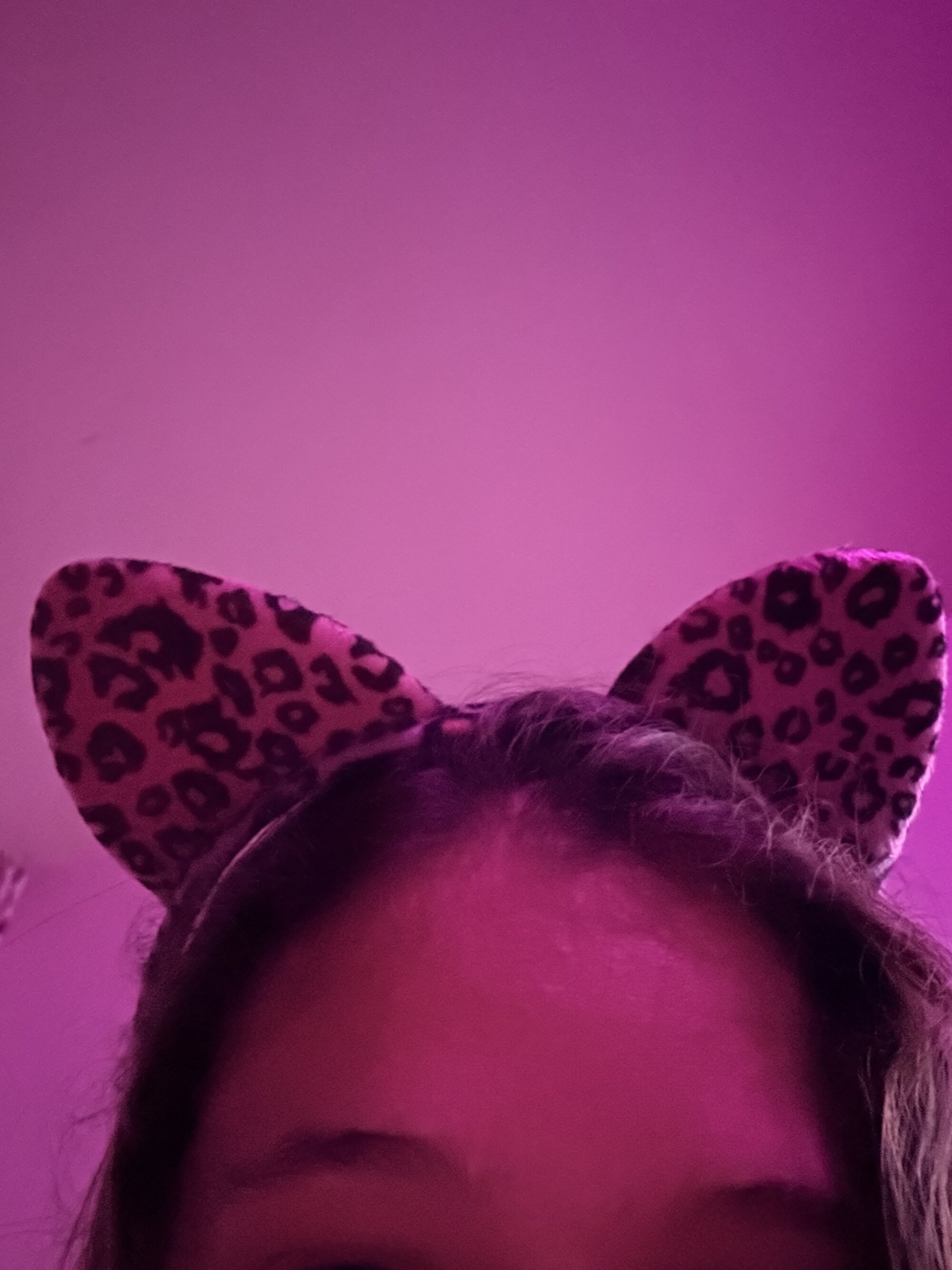 vibeadois