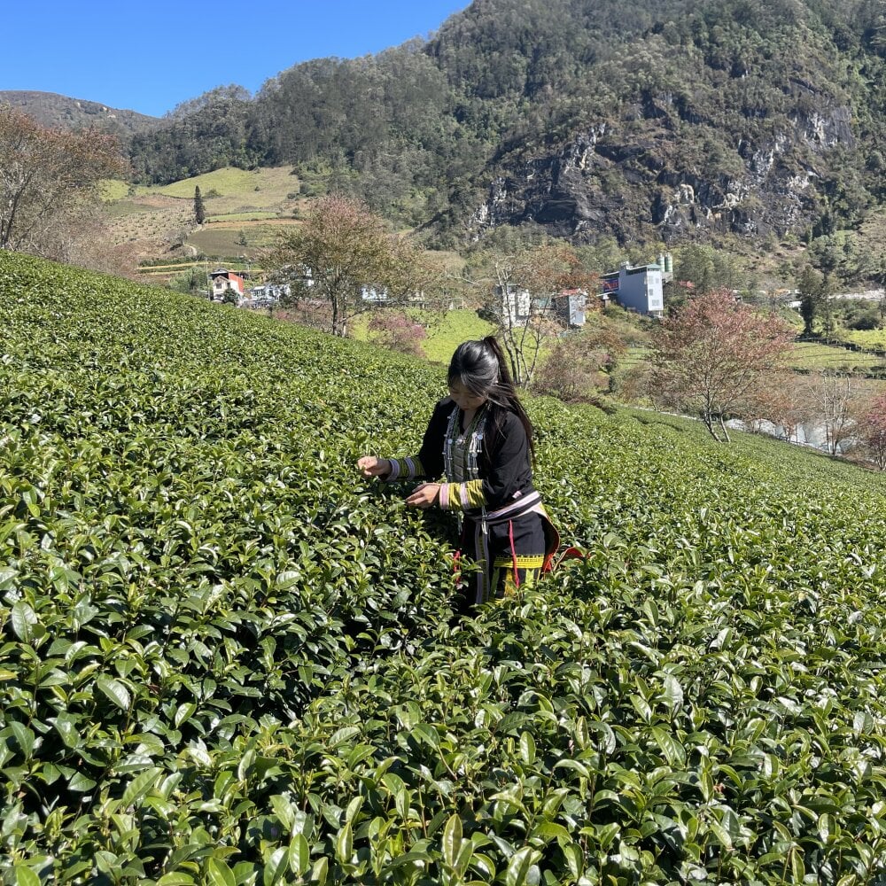 sexcam3d.net mayly_lucky2 livesex profile in vietnam cams