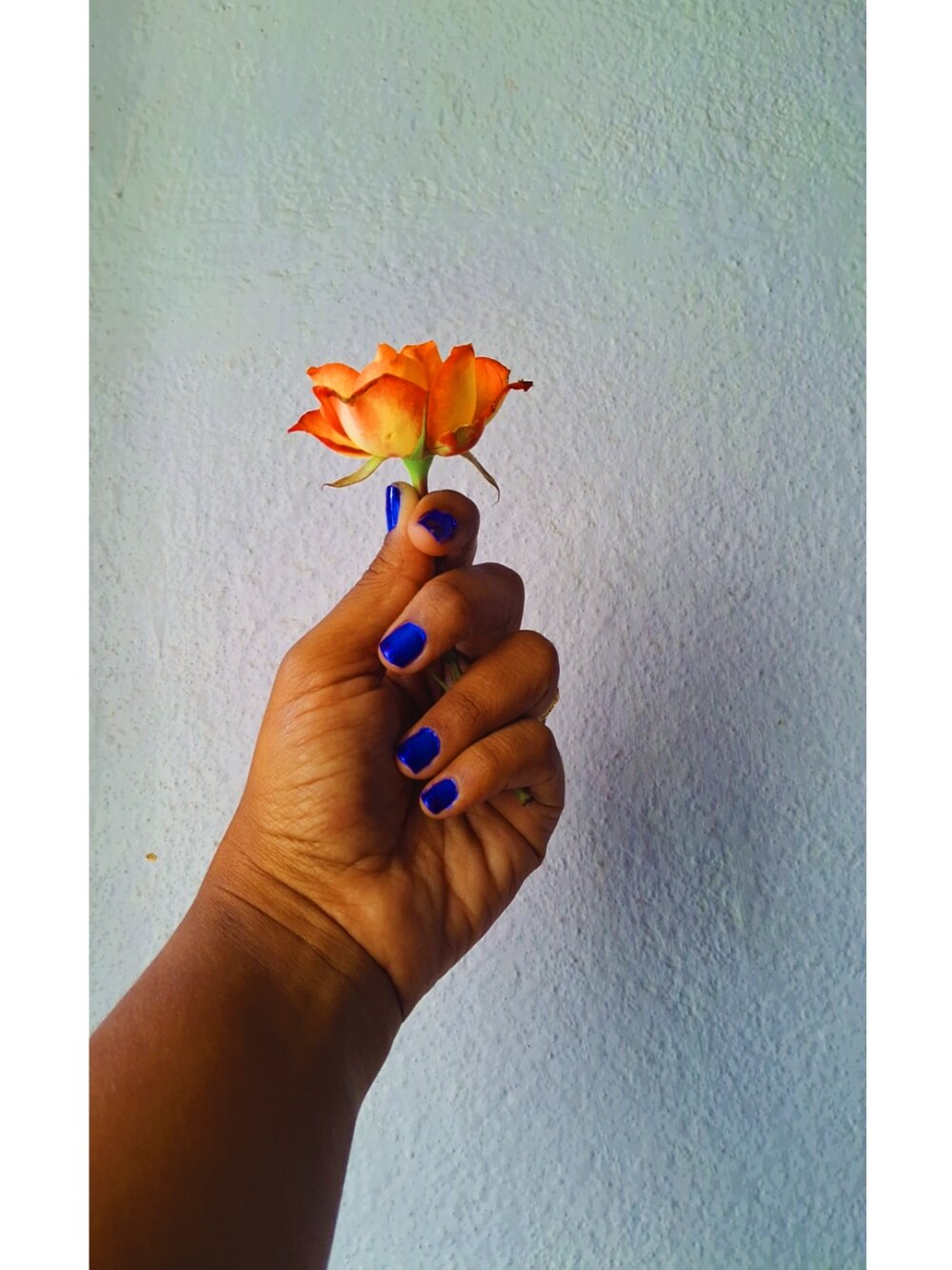 sivi__________